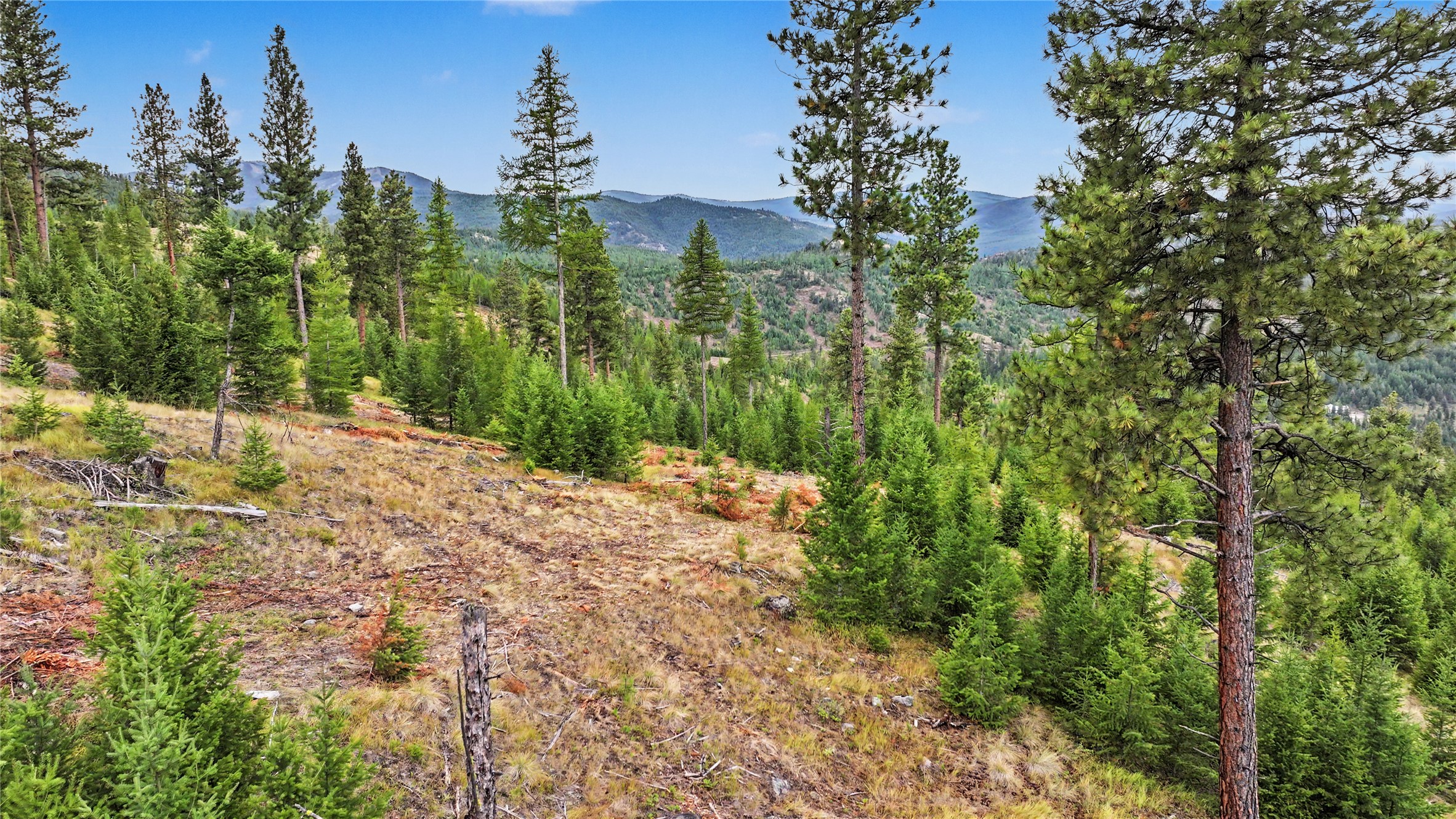 30076880 Property Photo 22