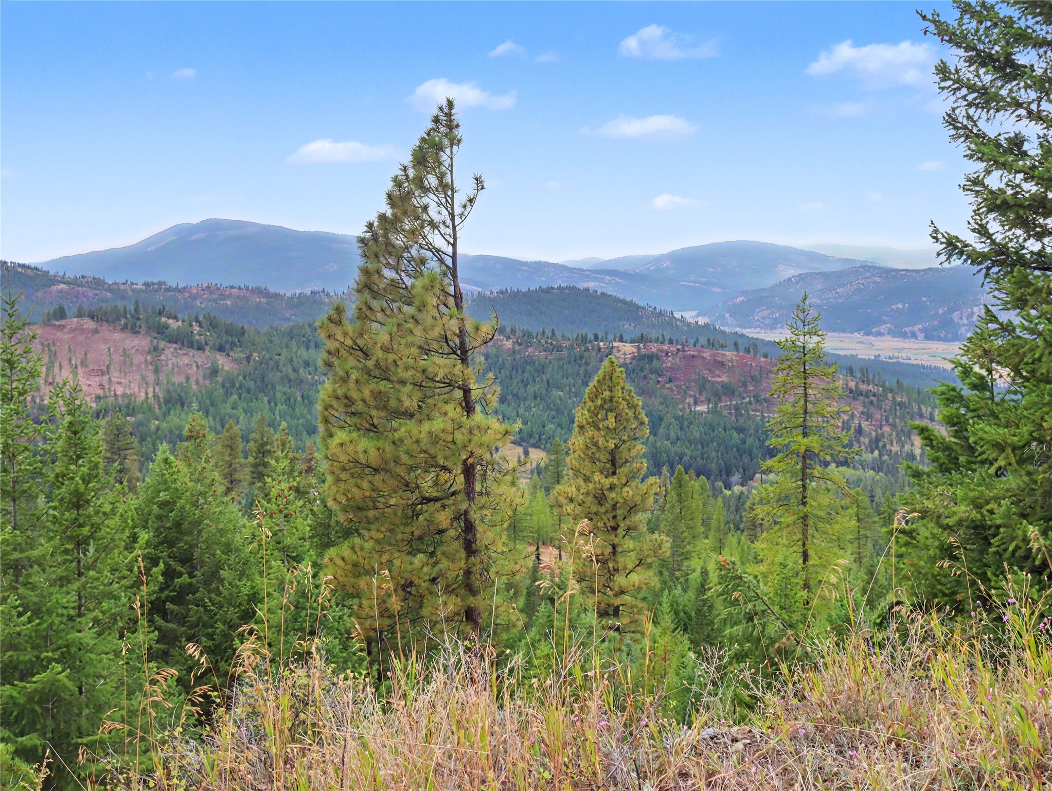 30076881 Property Photo 29