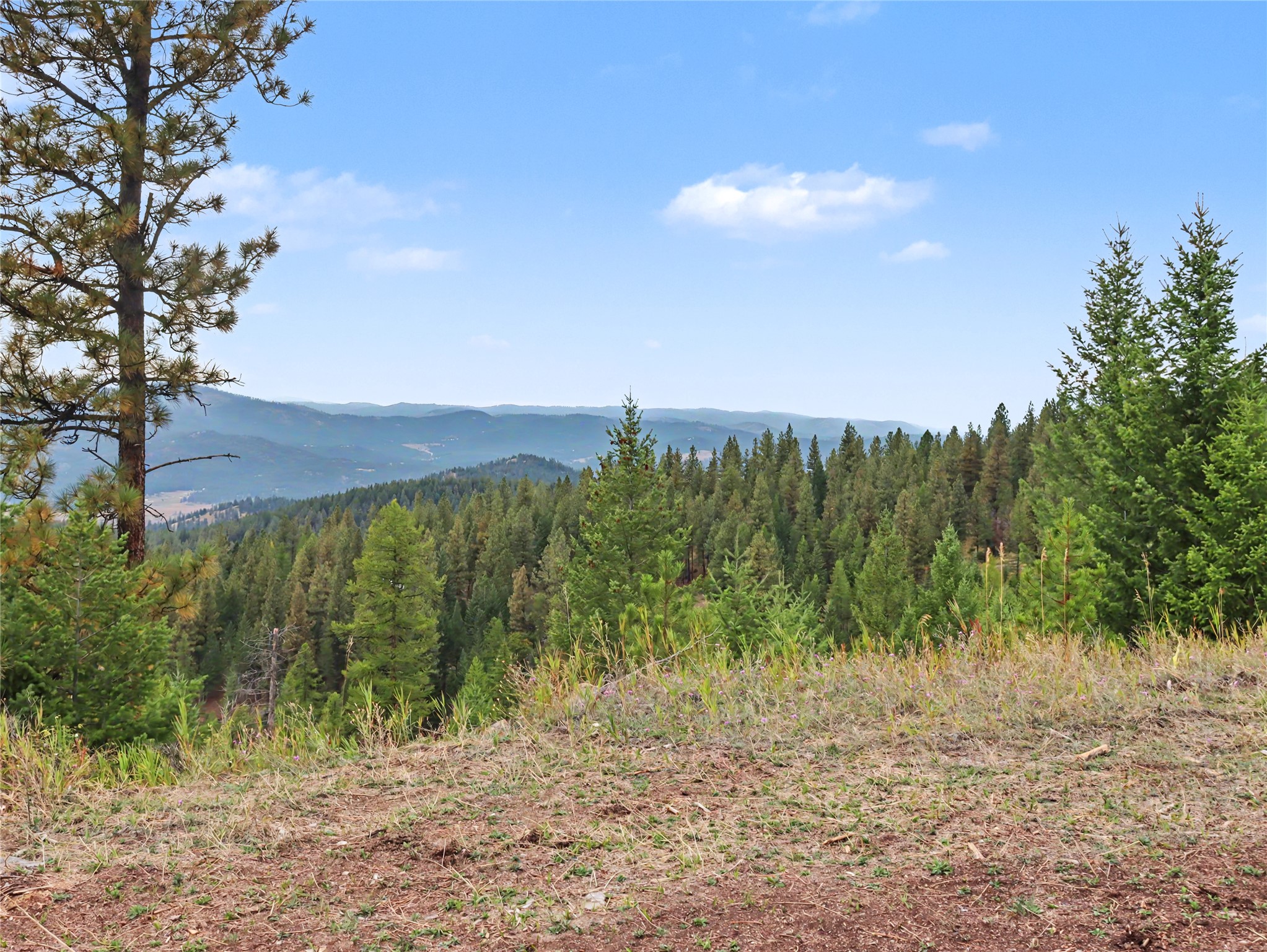 30076881 Property Photo 30