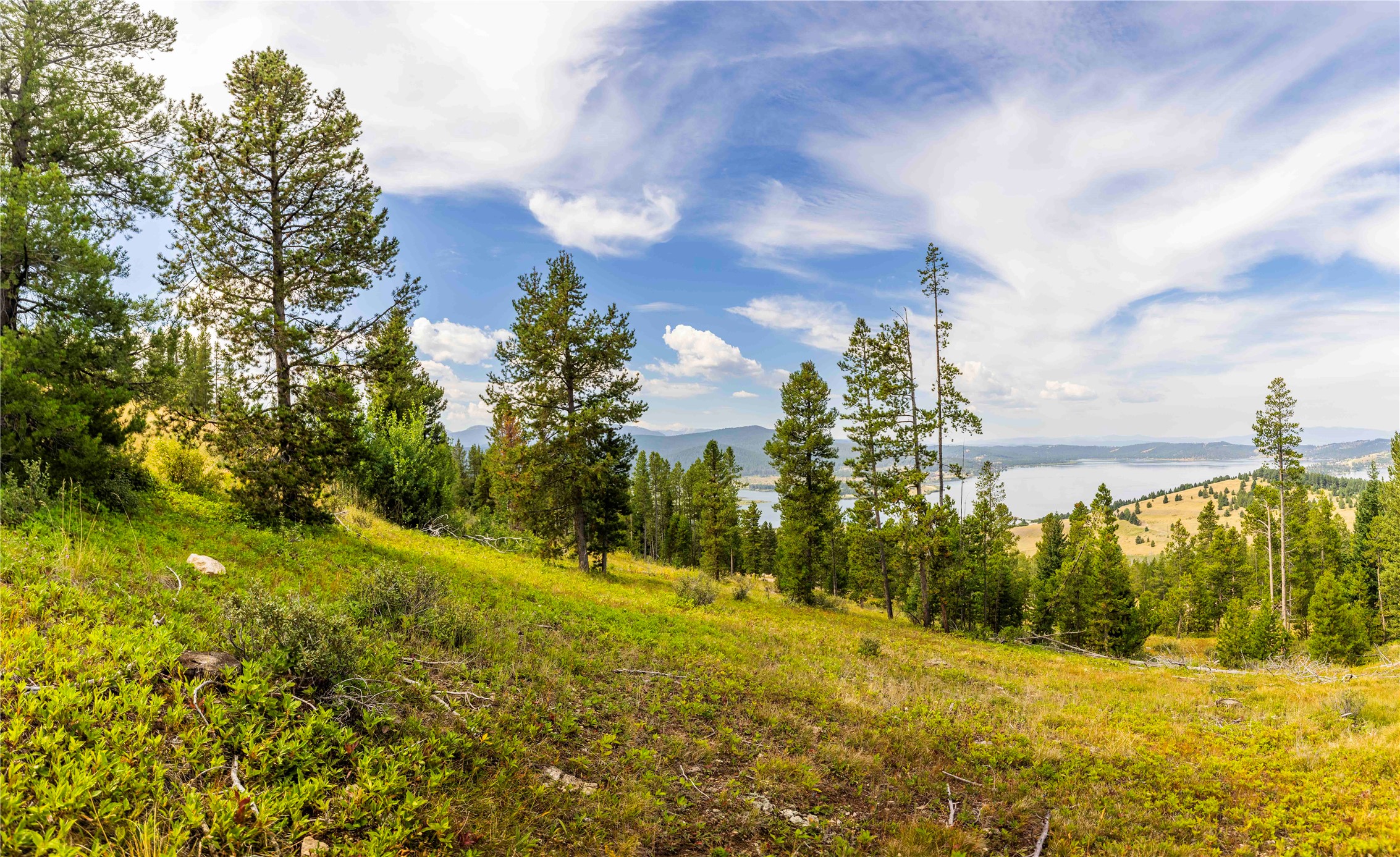 10 Mule Deer Lane Property Photo 18
