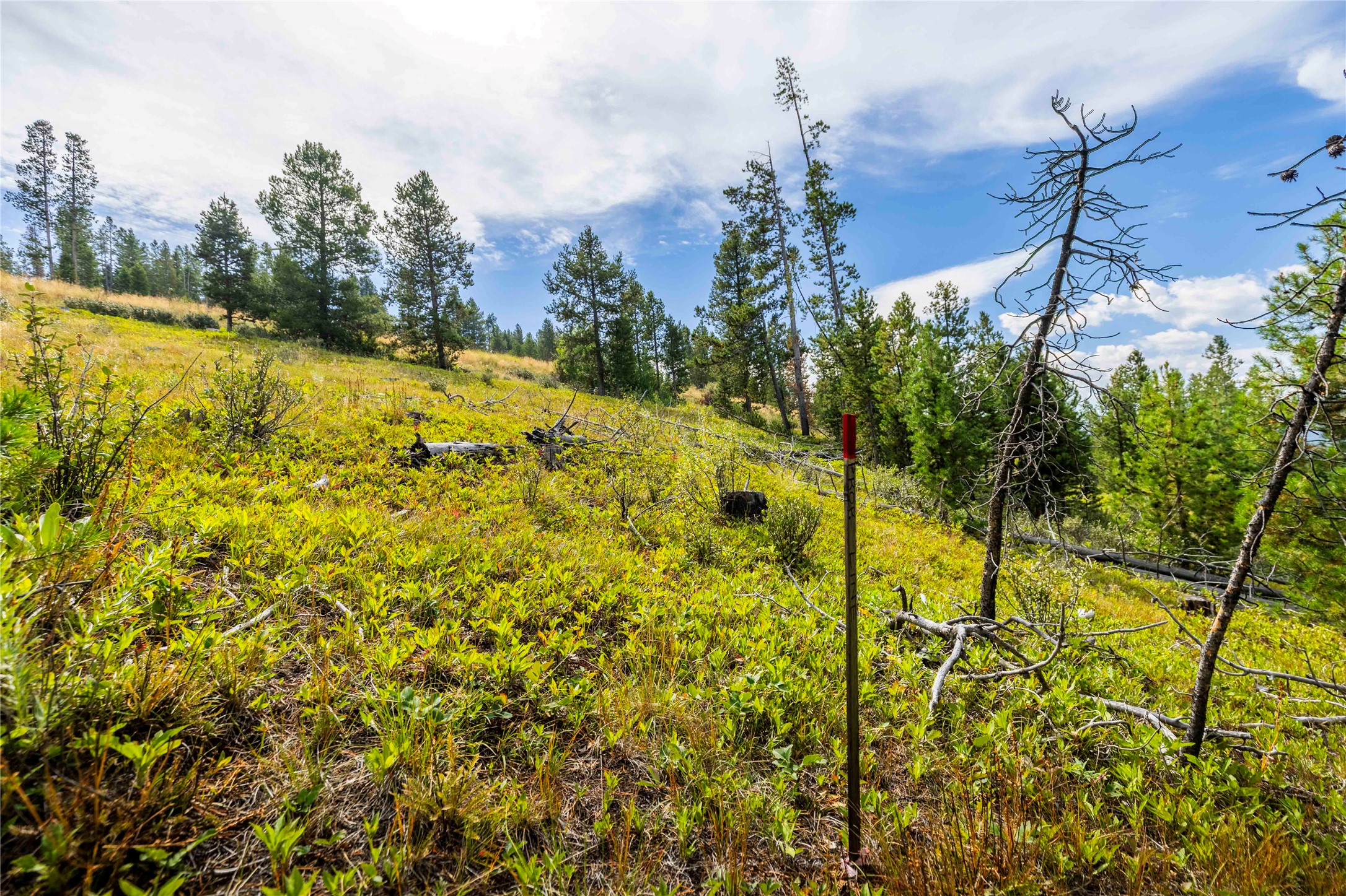 10 Mule Deer Lane Property Photo 20