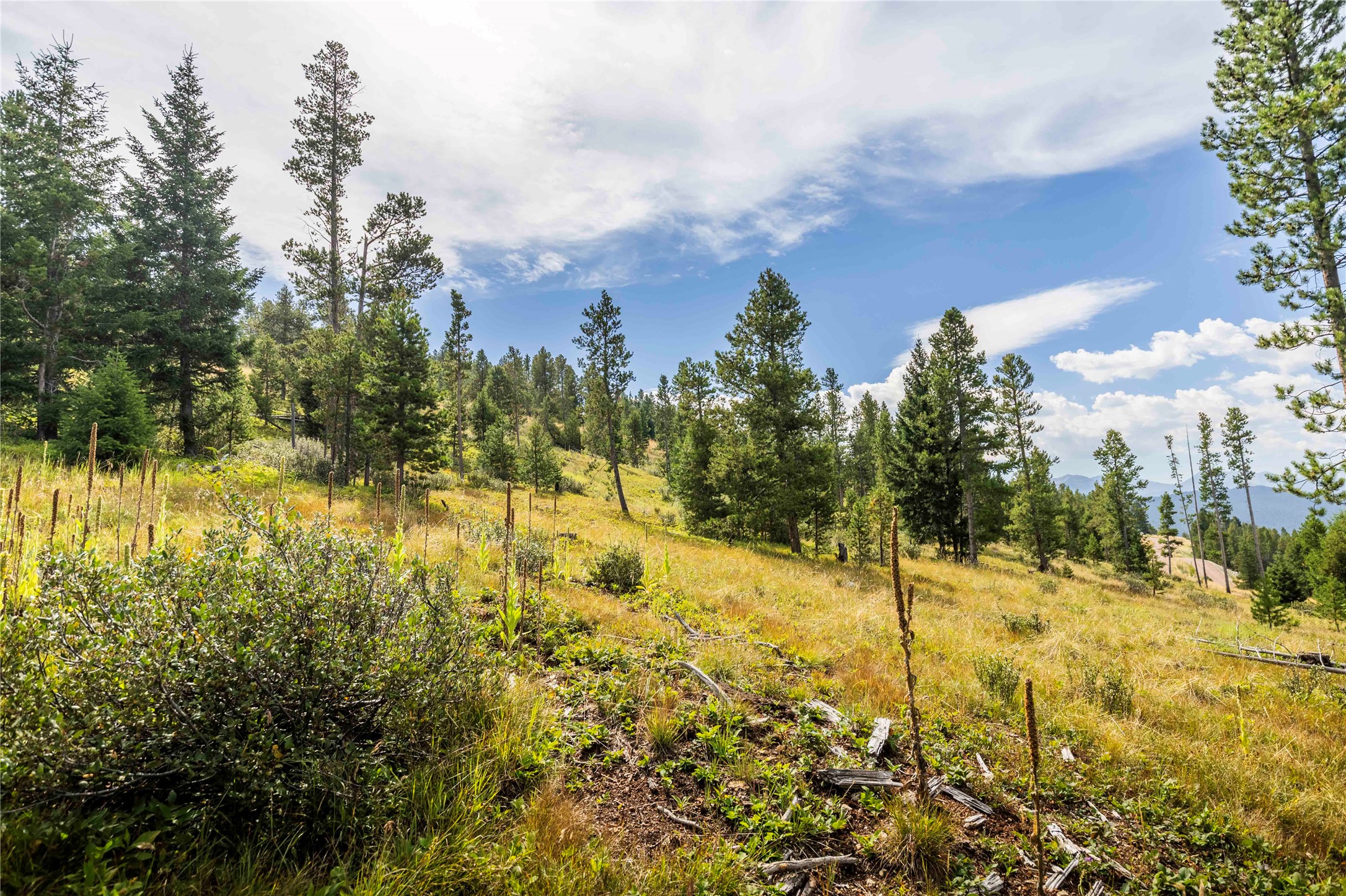 10 Mule Deer Lane Property Photo 22