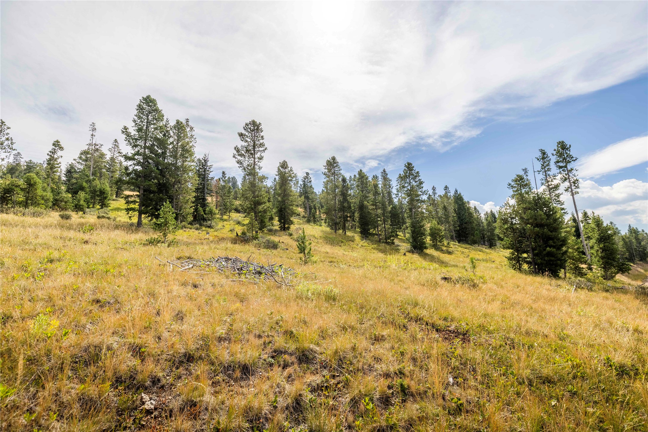 10 Mule Deer Lane Property Photo 26