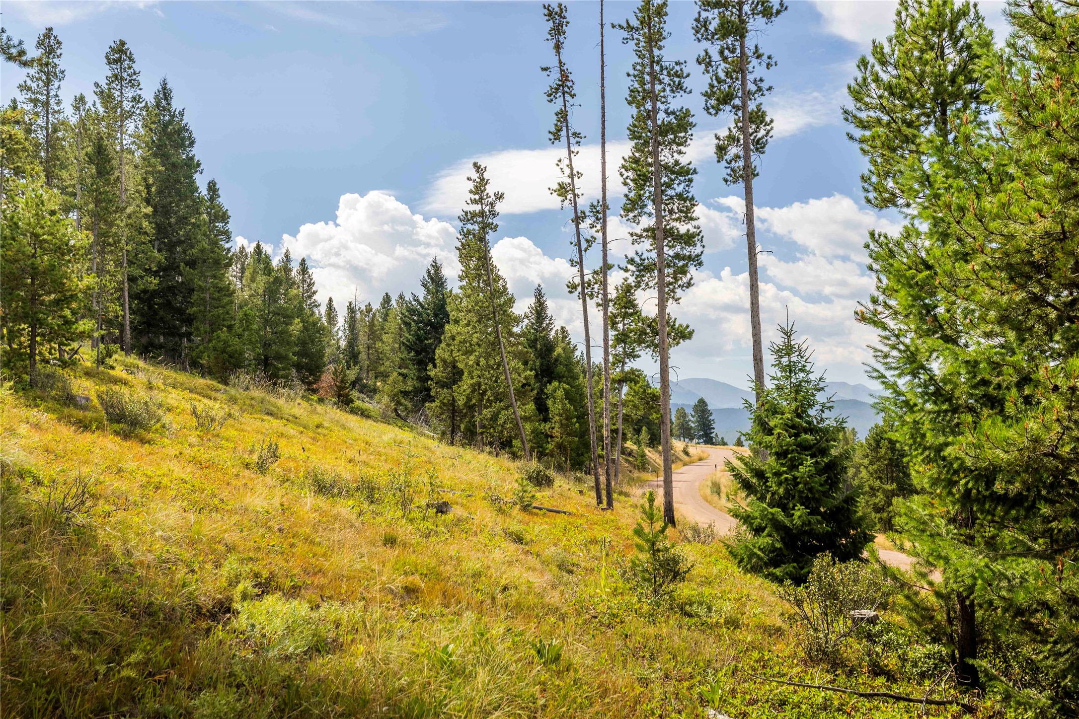 10 Mule Deer Lane Property Photo 28