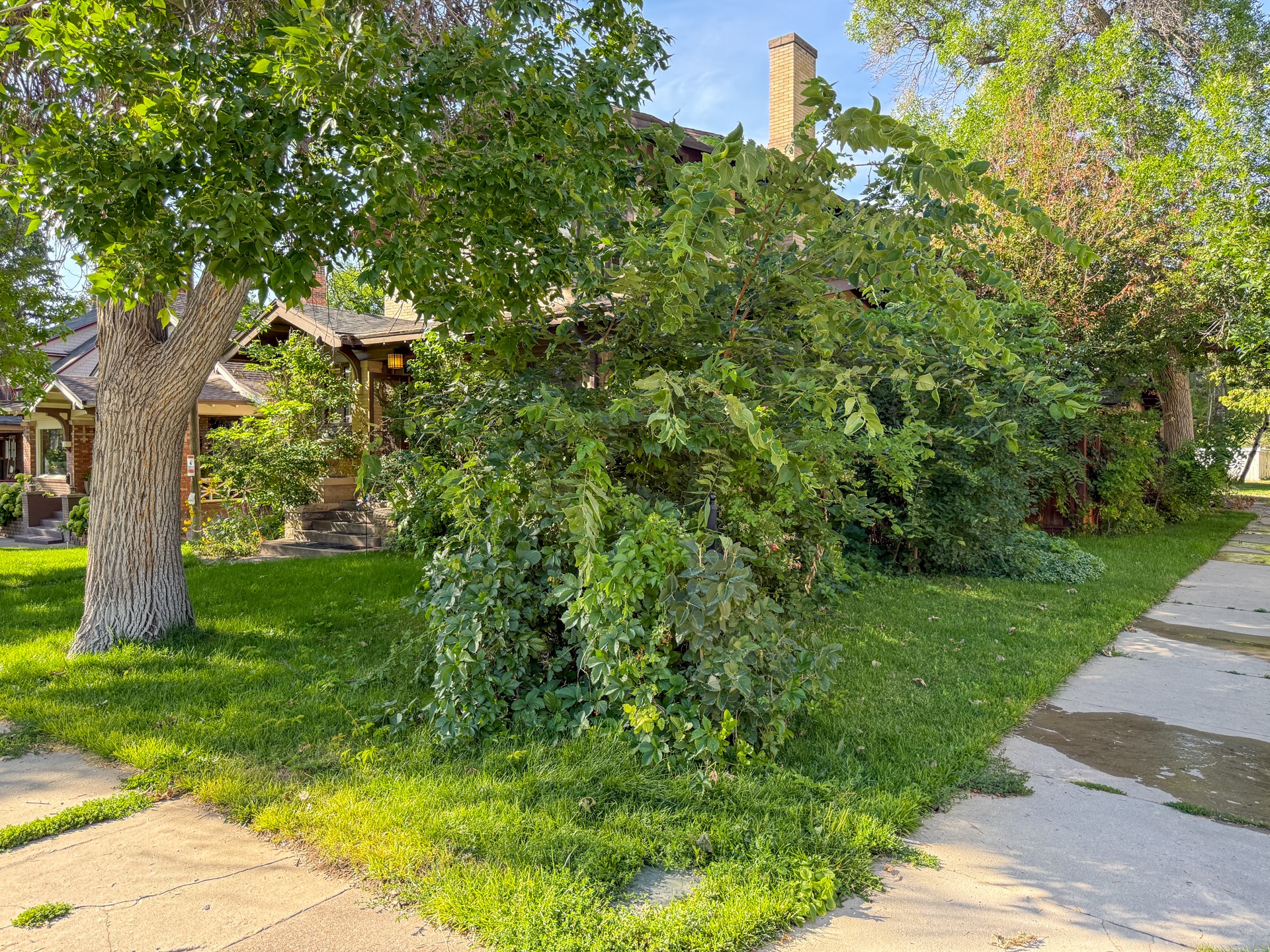 625 3rd Avenue N Property Photo 64
