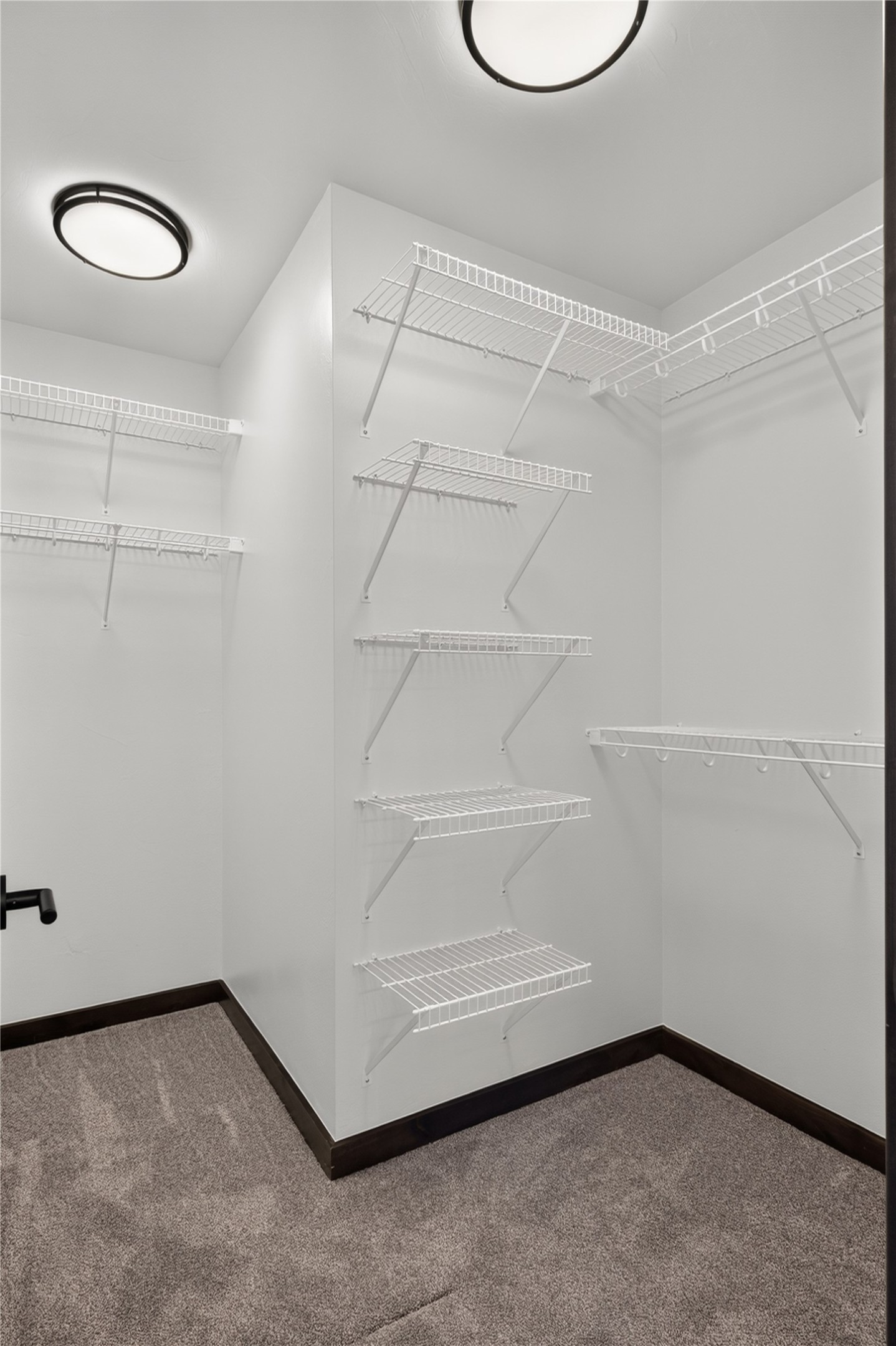 8150 Oreilly Drive Property Photo 14