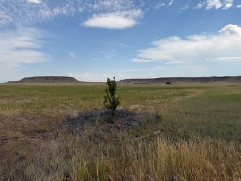 Lot 1, Lot 2, Lot 3 Lake Flat Lane Property Photo 7