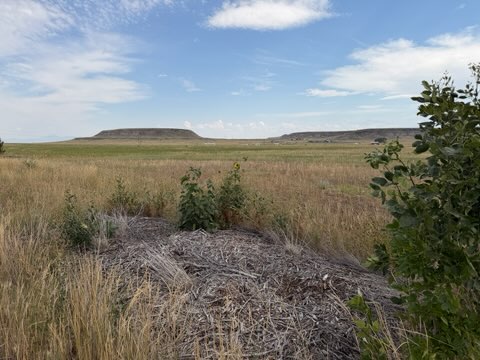 Lot 1, Lot 2, Lot 3 Lake Flat Lane Property Photo 8