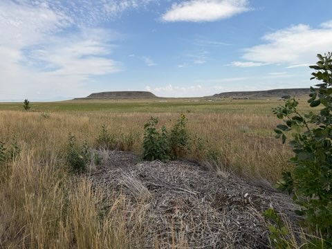 Lot 1, Lot 2, Lot 3 Lake Flat Lane Property Photo 9