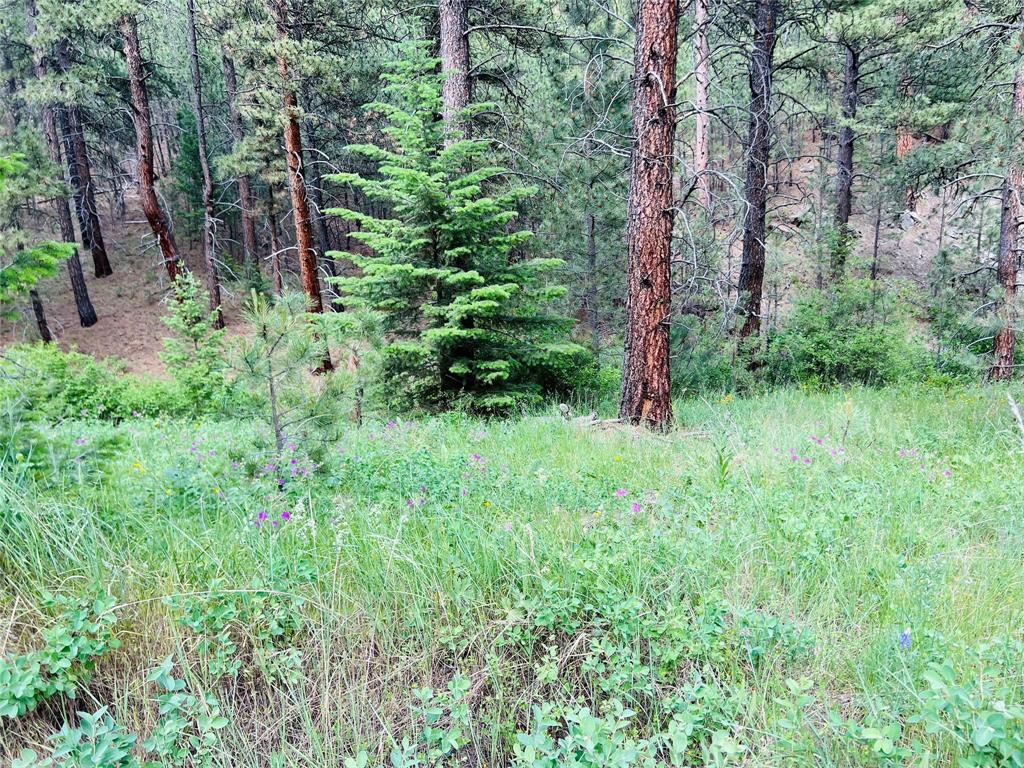 Nhn Upper Andy Creek Lane Property Photo 6