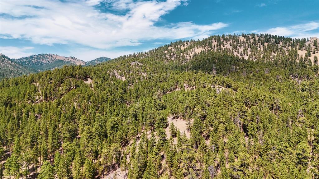 Nhn Upper Andy Creek Lane Property Photo 10
