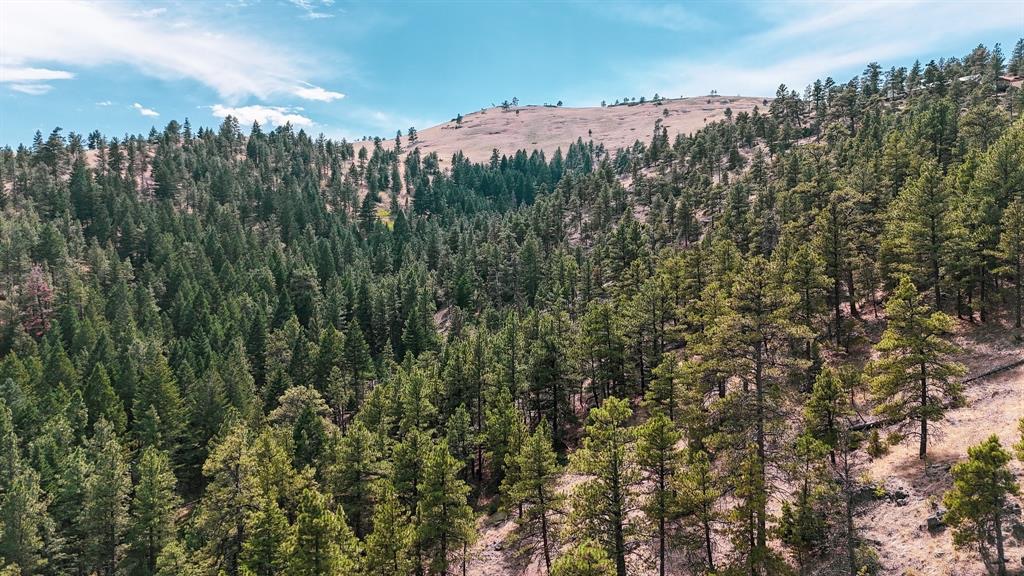 Nhn Upper Andy Creek Lane Property Photo 15