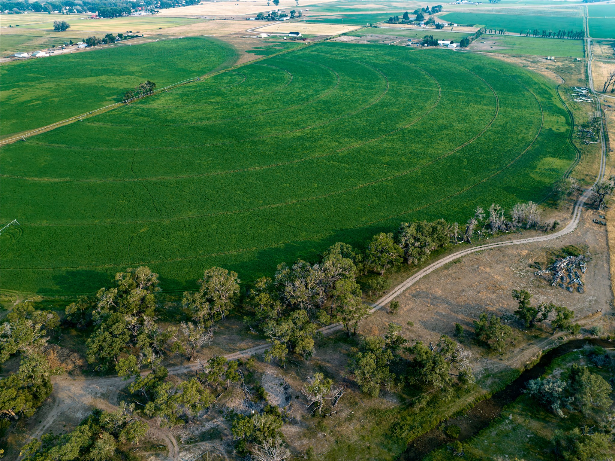 14013 Mt Hwy 21 Property Photo 9