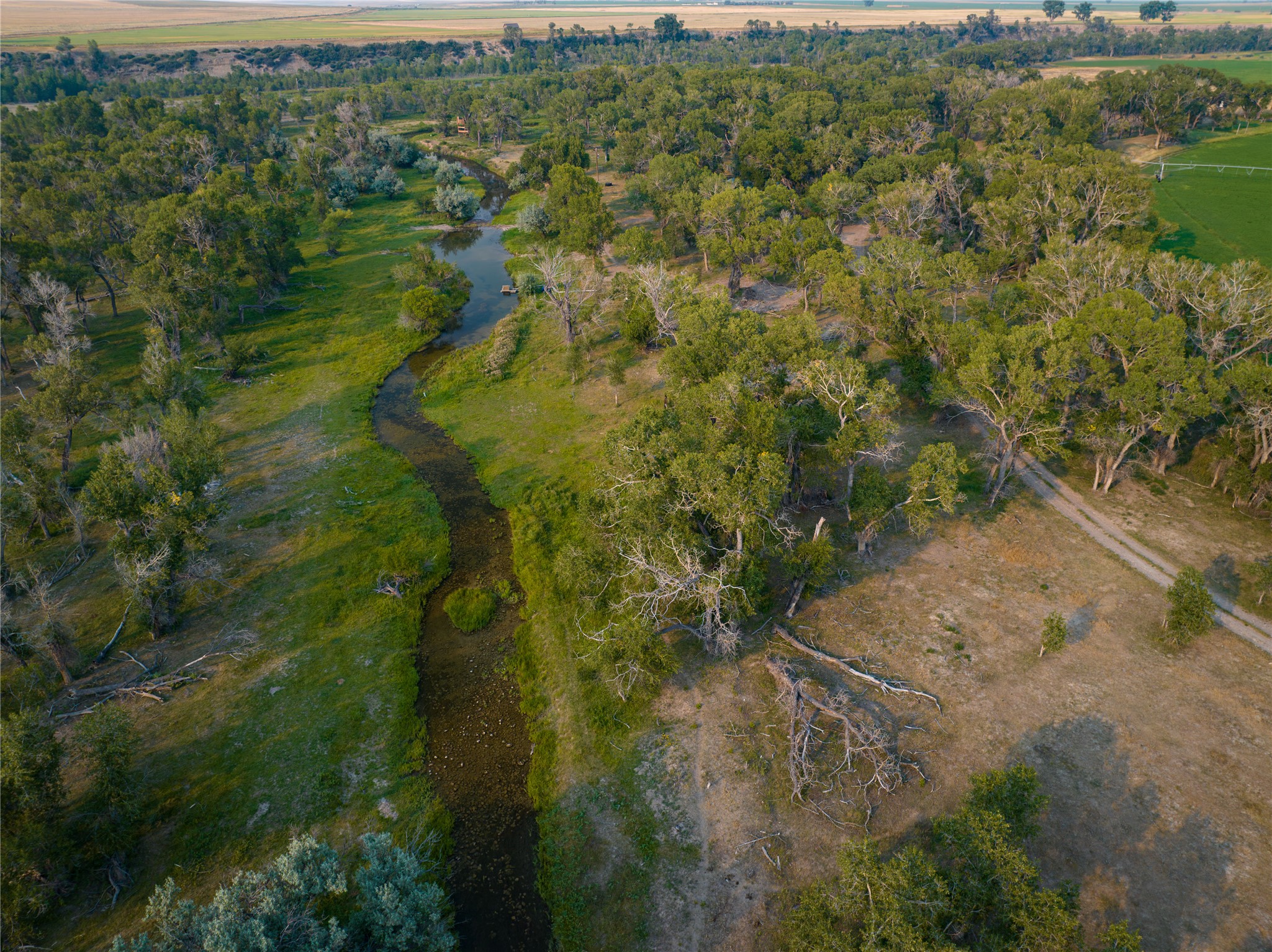 14013 Mt Hwy 21 Property Photo 33