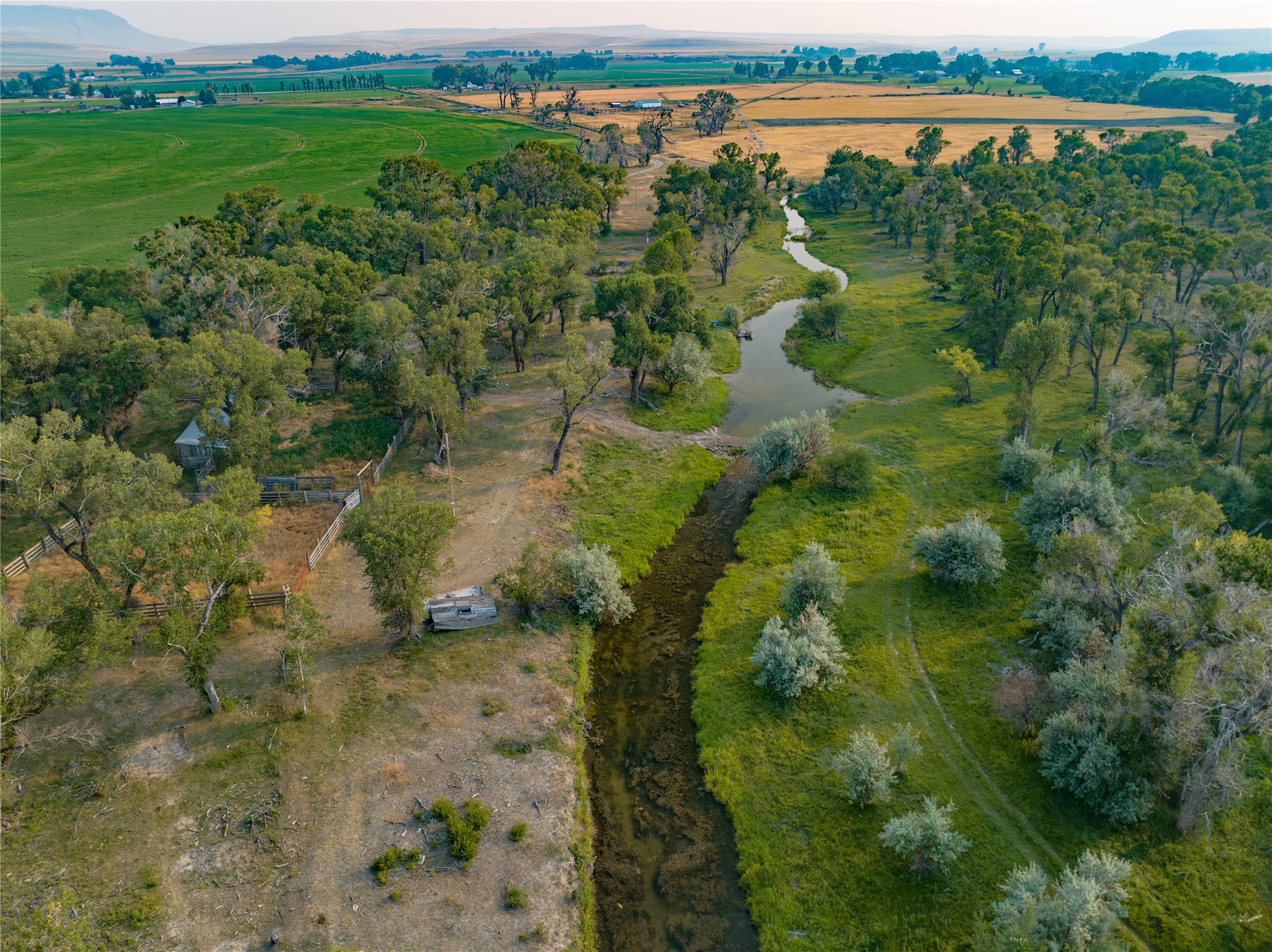 14013 Mt Hwy 21 Property Photo 34