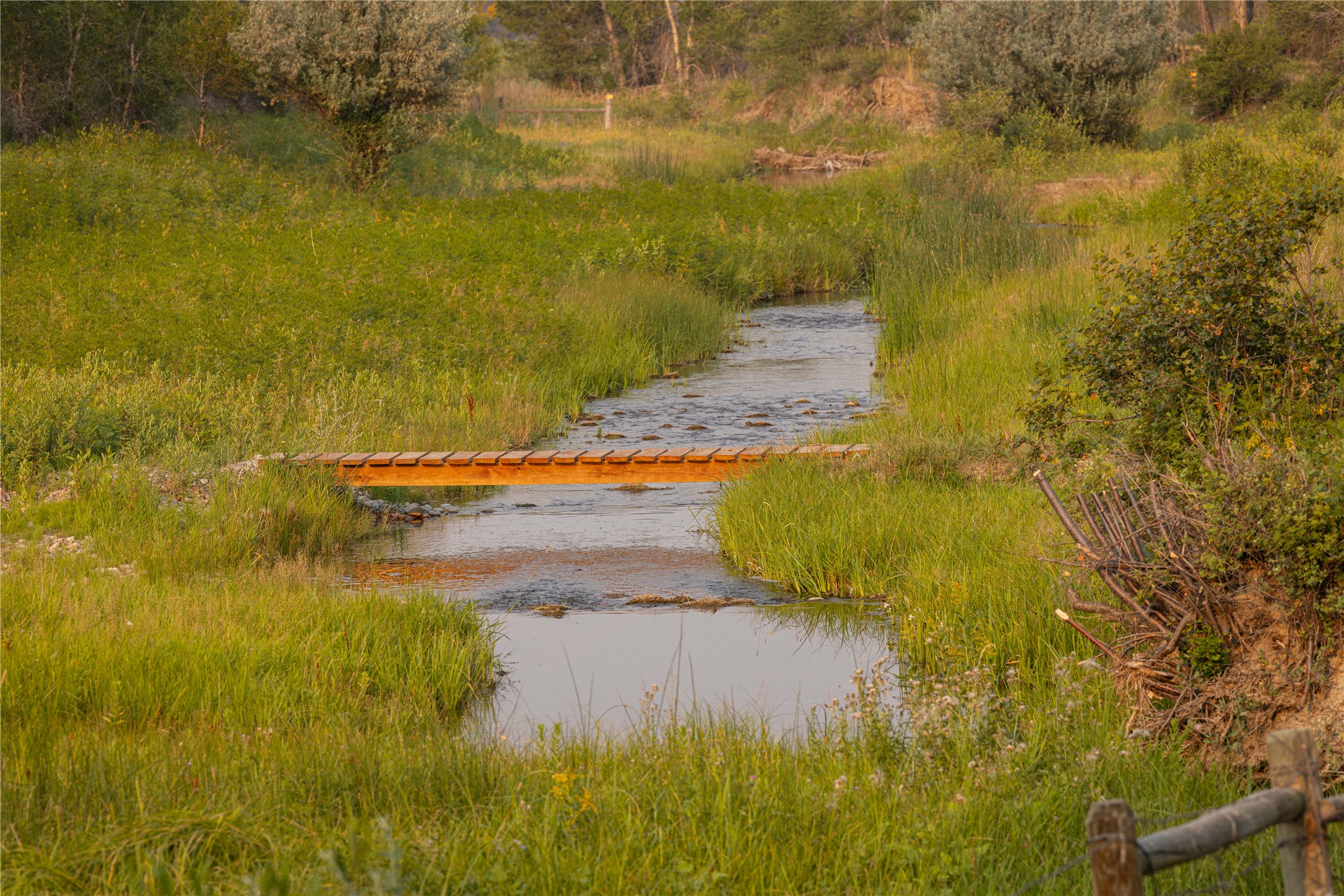 14013 Mt Hwy 21 Property Photo 44