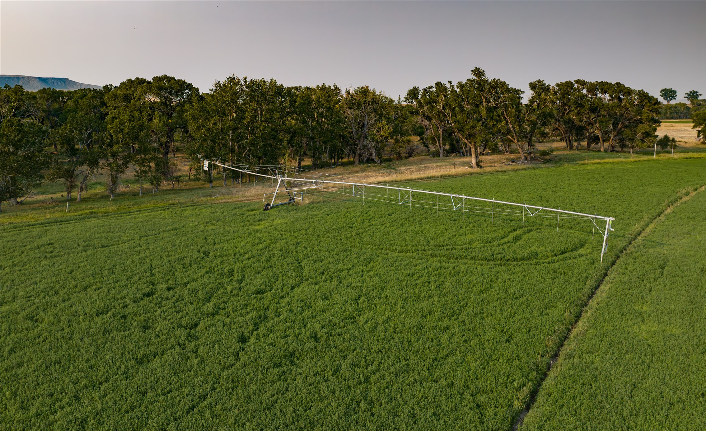 14013 Mt Hwy 21 Property Photo 45