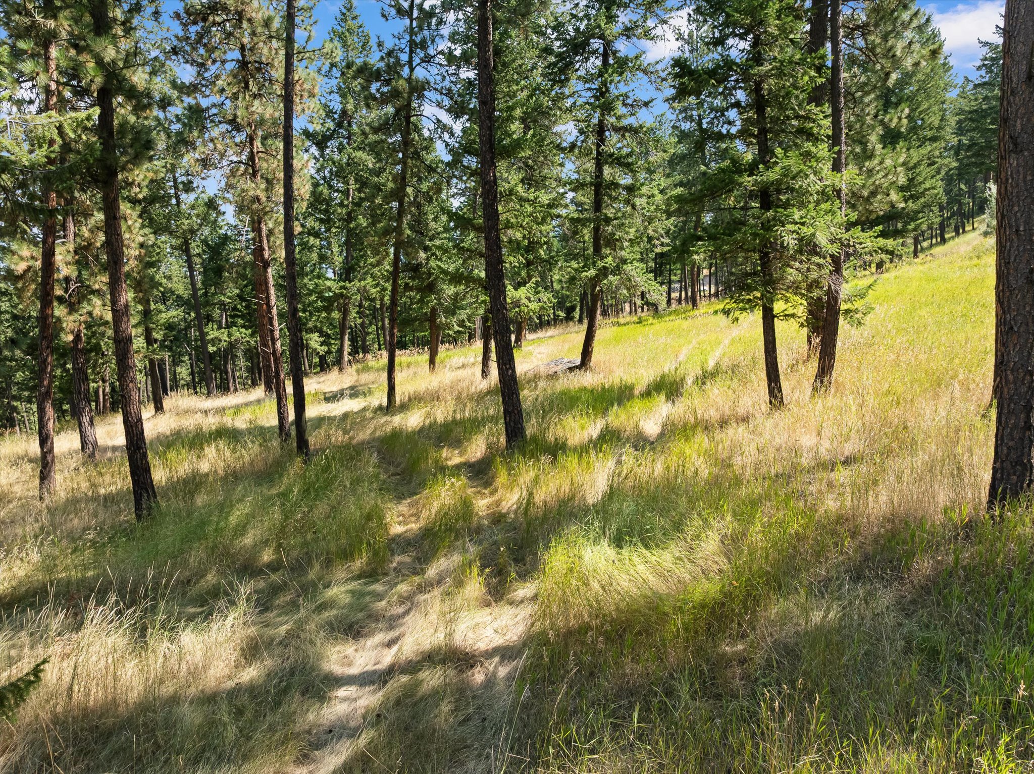 Nhn Pond Road Property Photo 6
