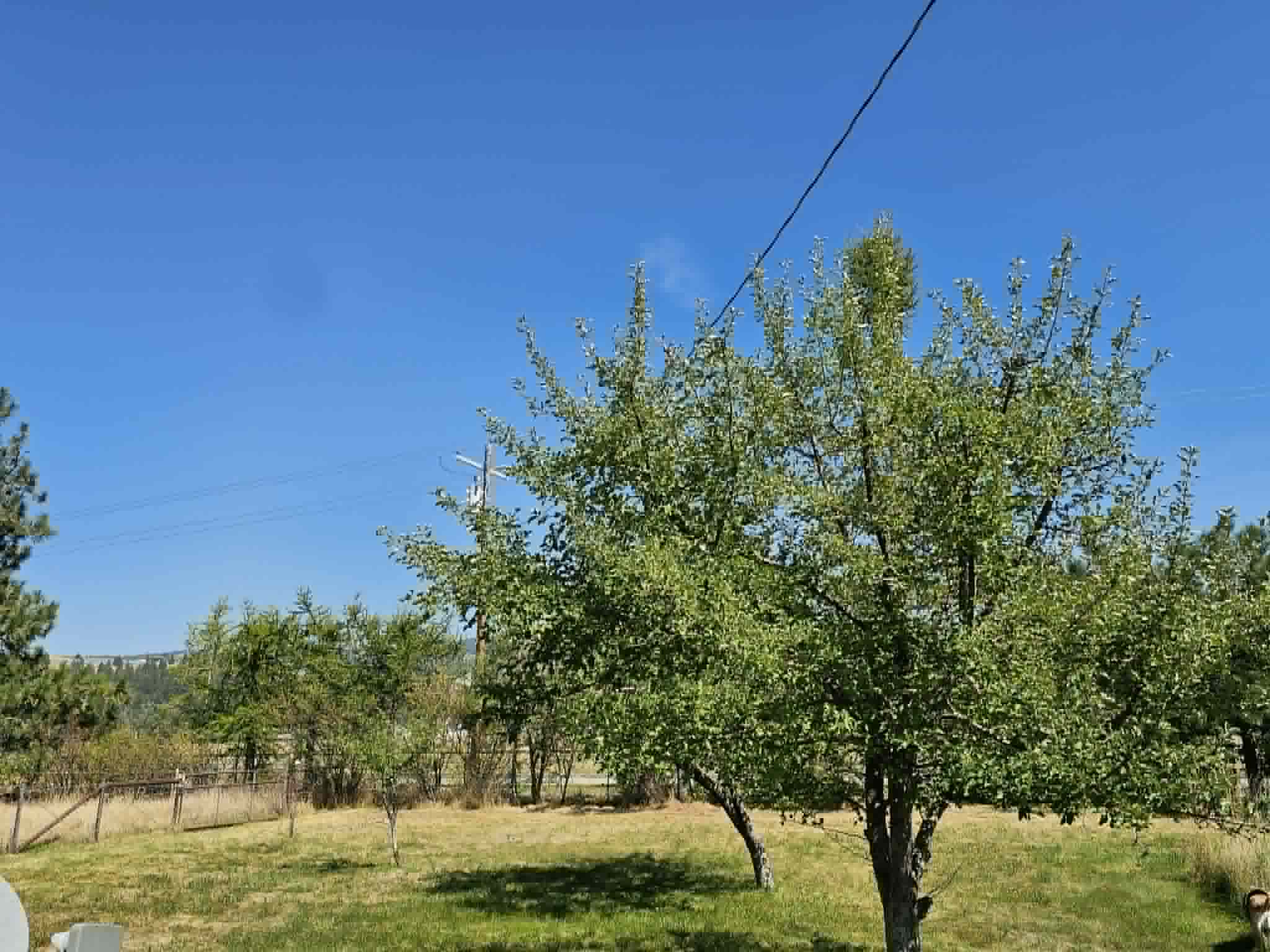 3109 Upper Burnt Fork School Road Property Photo 22