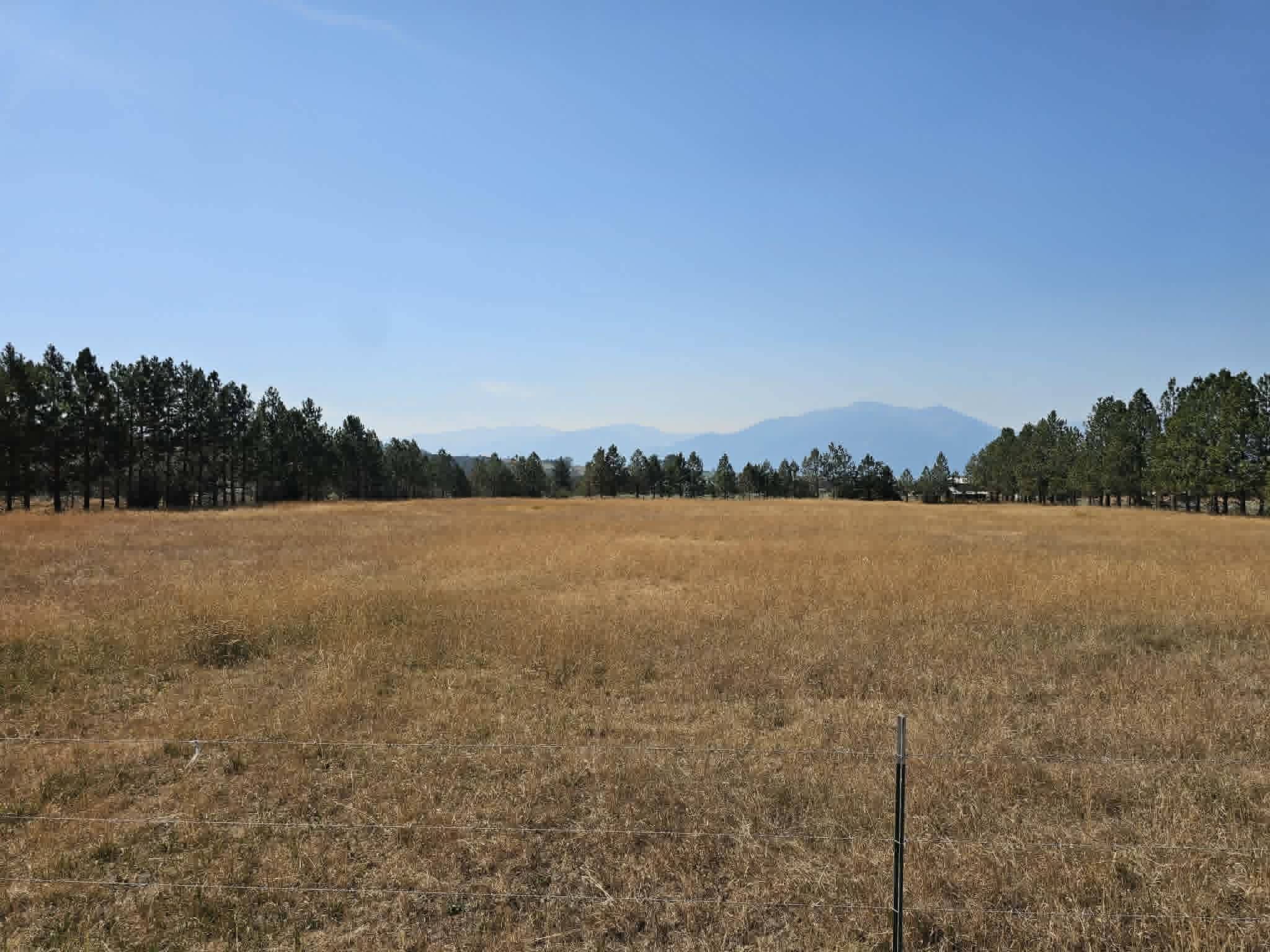 3109 Upper Burnt Fork School Road Property Photo 23