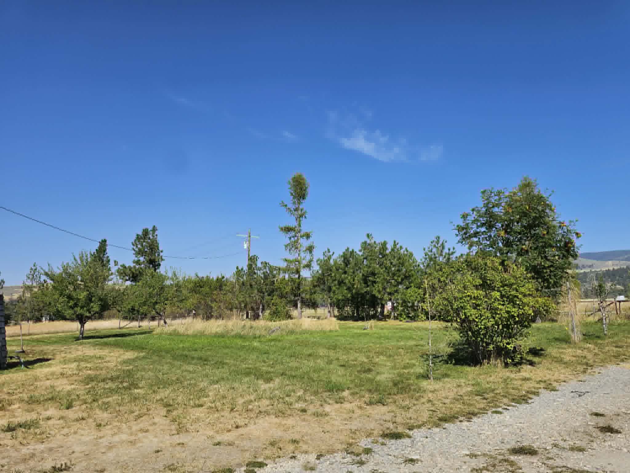 3109 Upper Burnt Fork School Road Property Photo 25