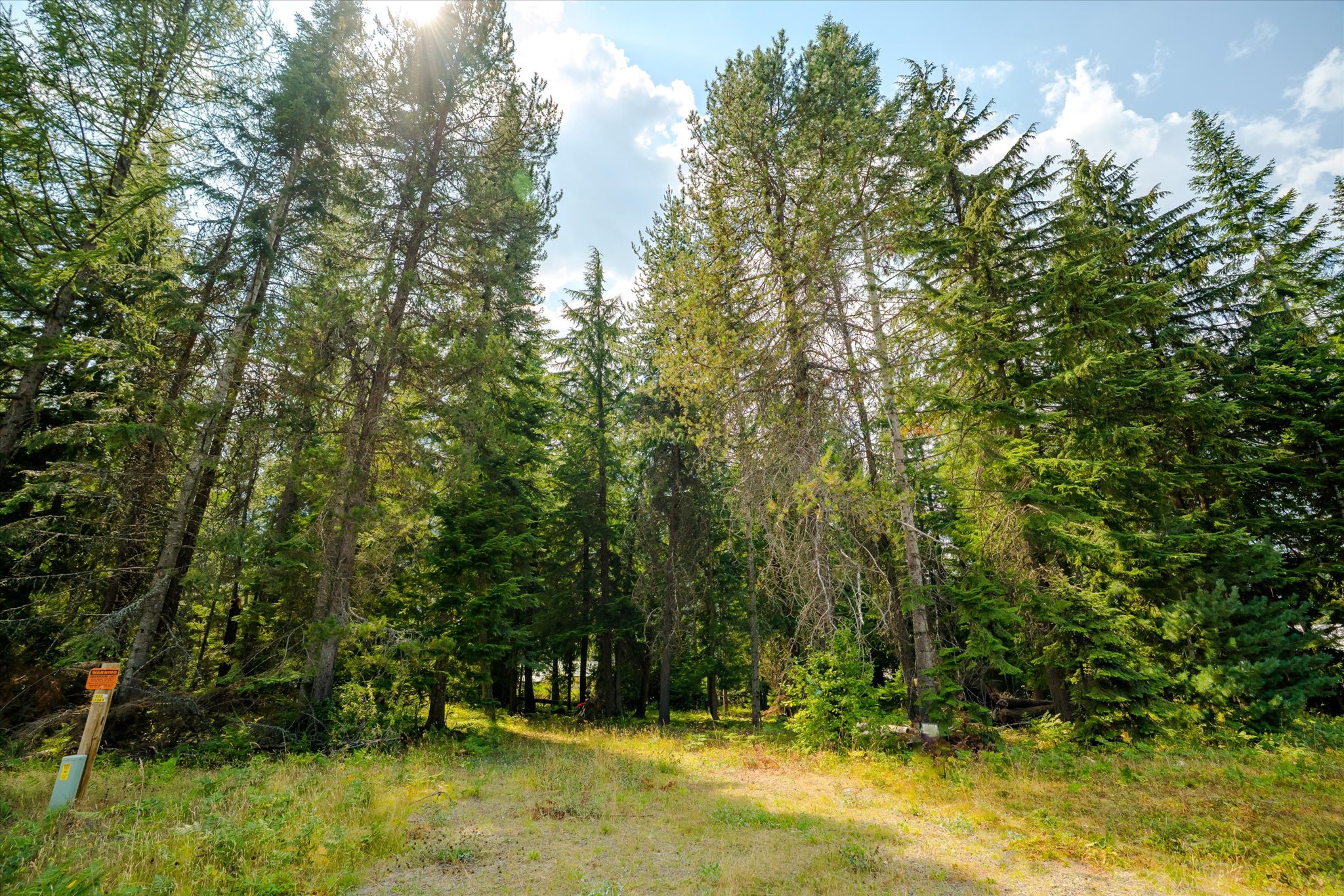 1224 Mt Hwy 200 Property Photo 5