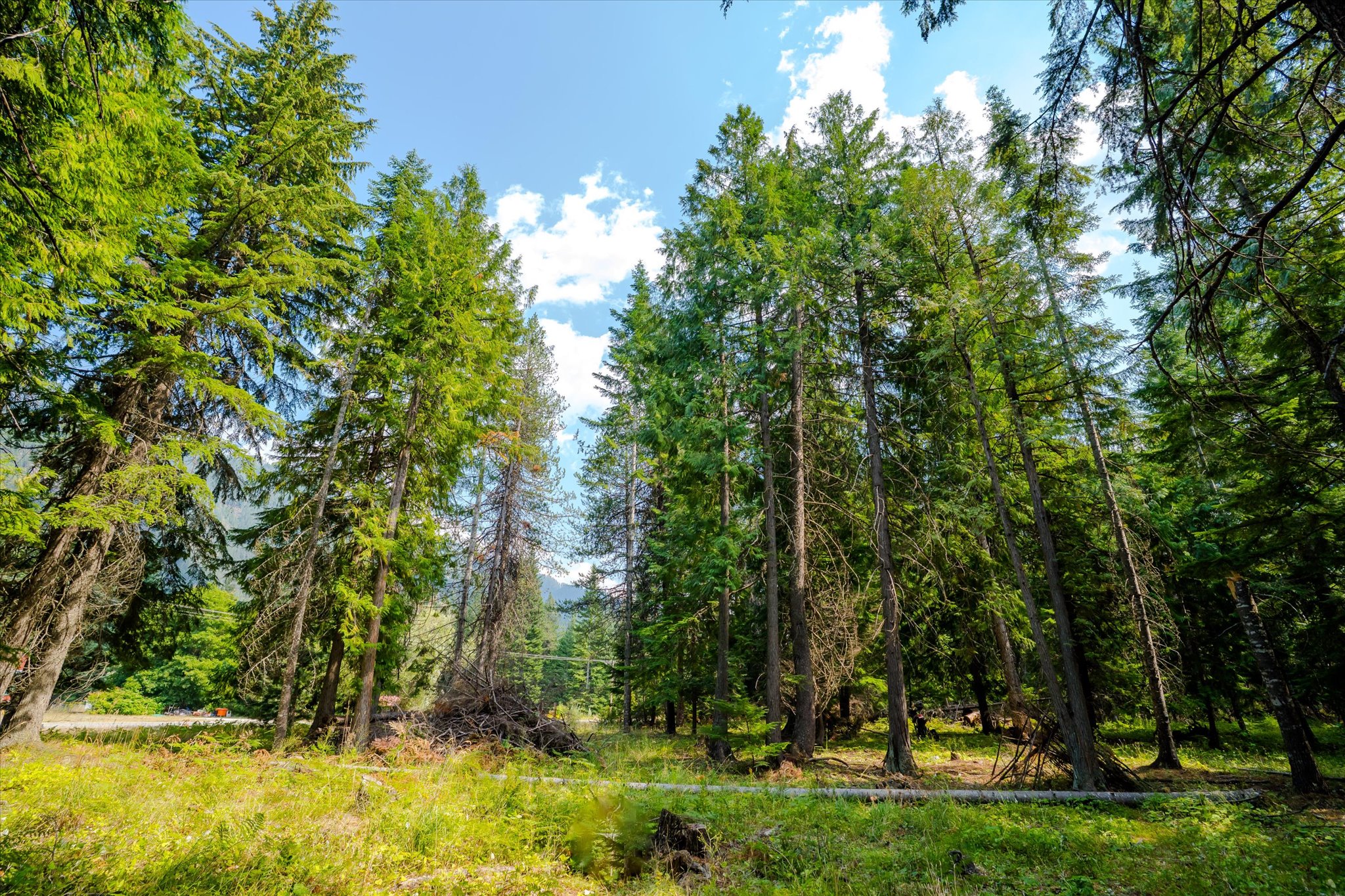 1224 Mt Hwy 200 Property Photo 6