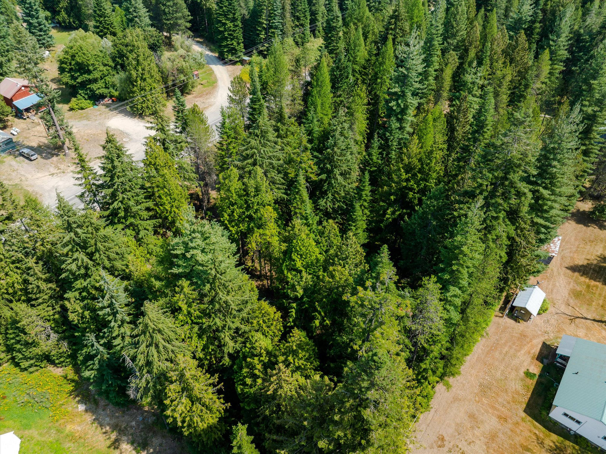 1224 Mt Hwy 200 Property Photo 12