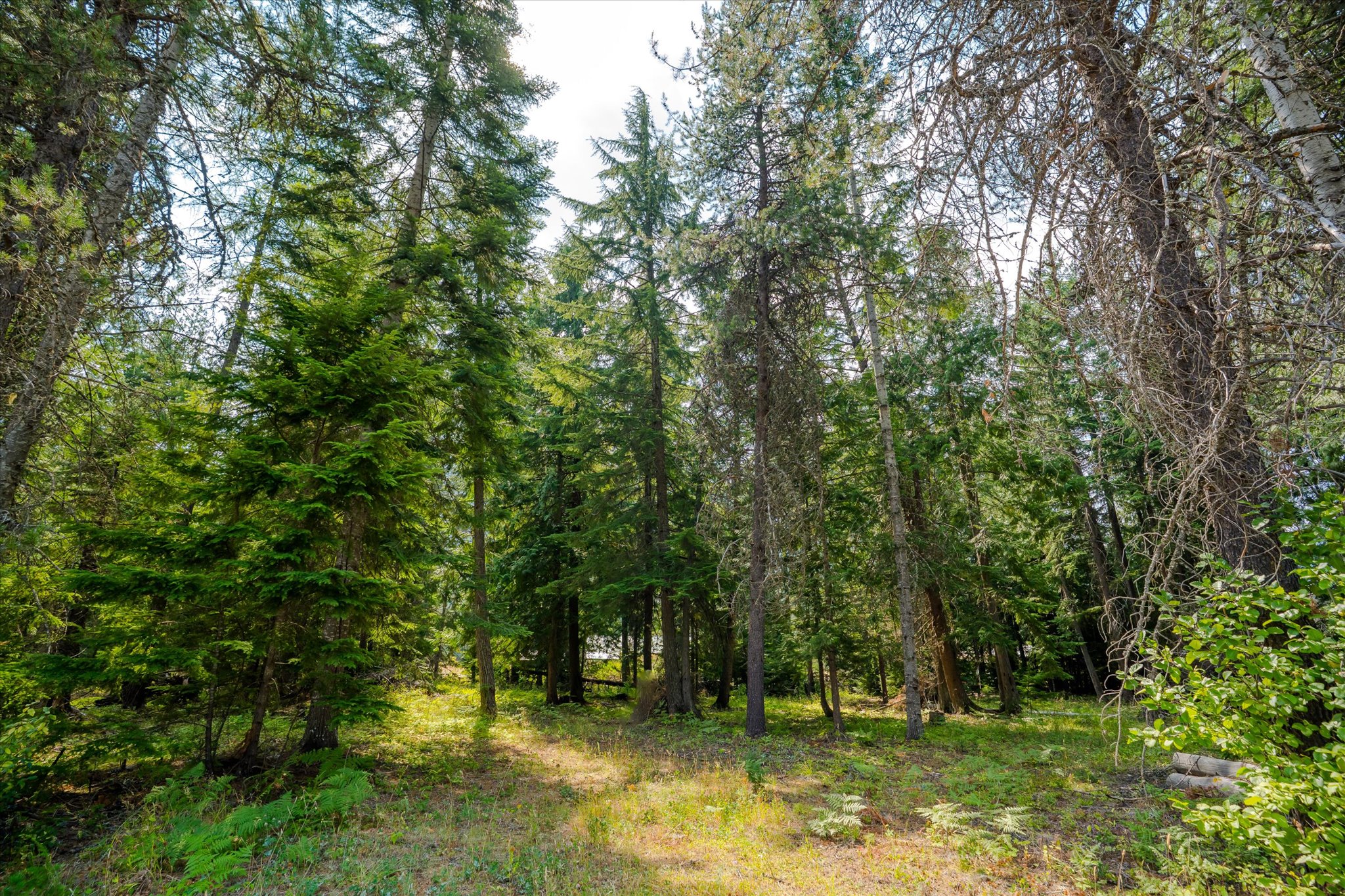 1224 Mt Hwy 200 Property Photo 17
