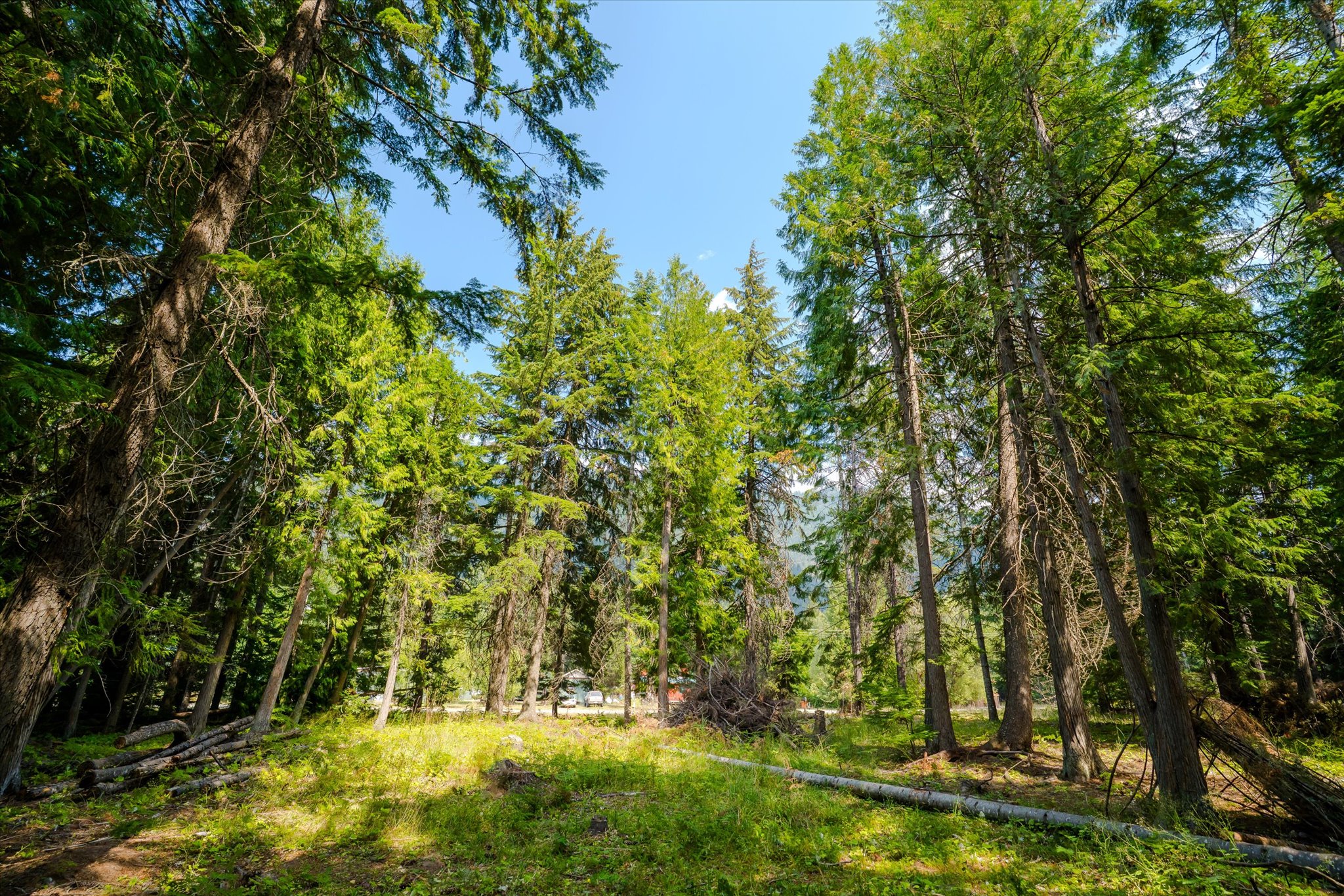 1224 Mt Hwy 200 Property Photo 24