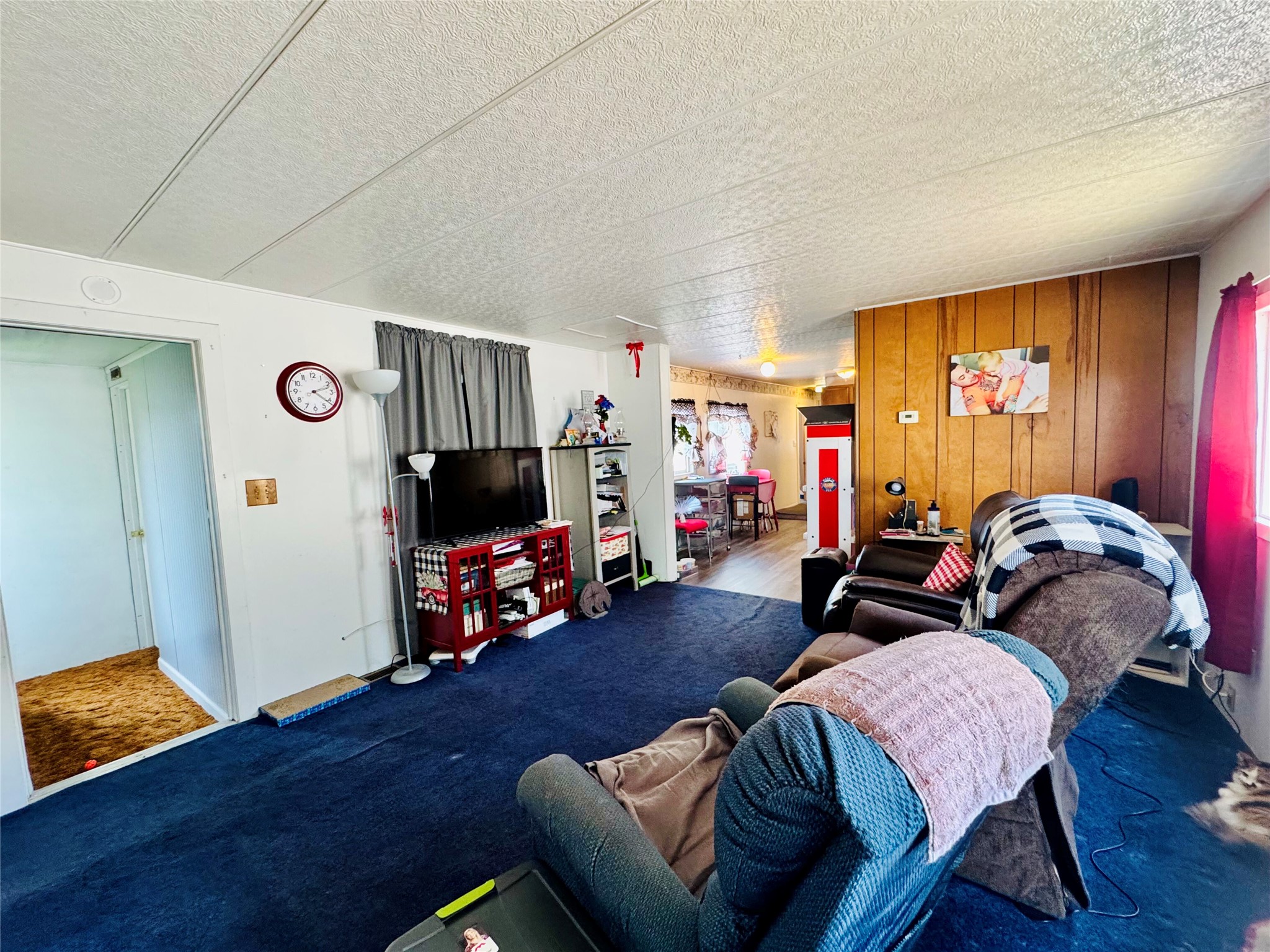 521 S Caravan Street Property Photo 13