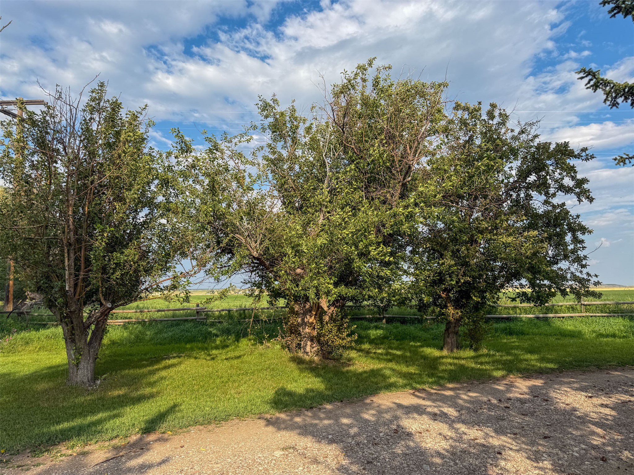 4551 Hwy 287 Property Photo 68