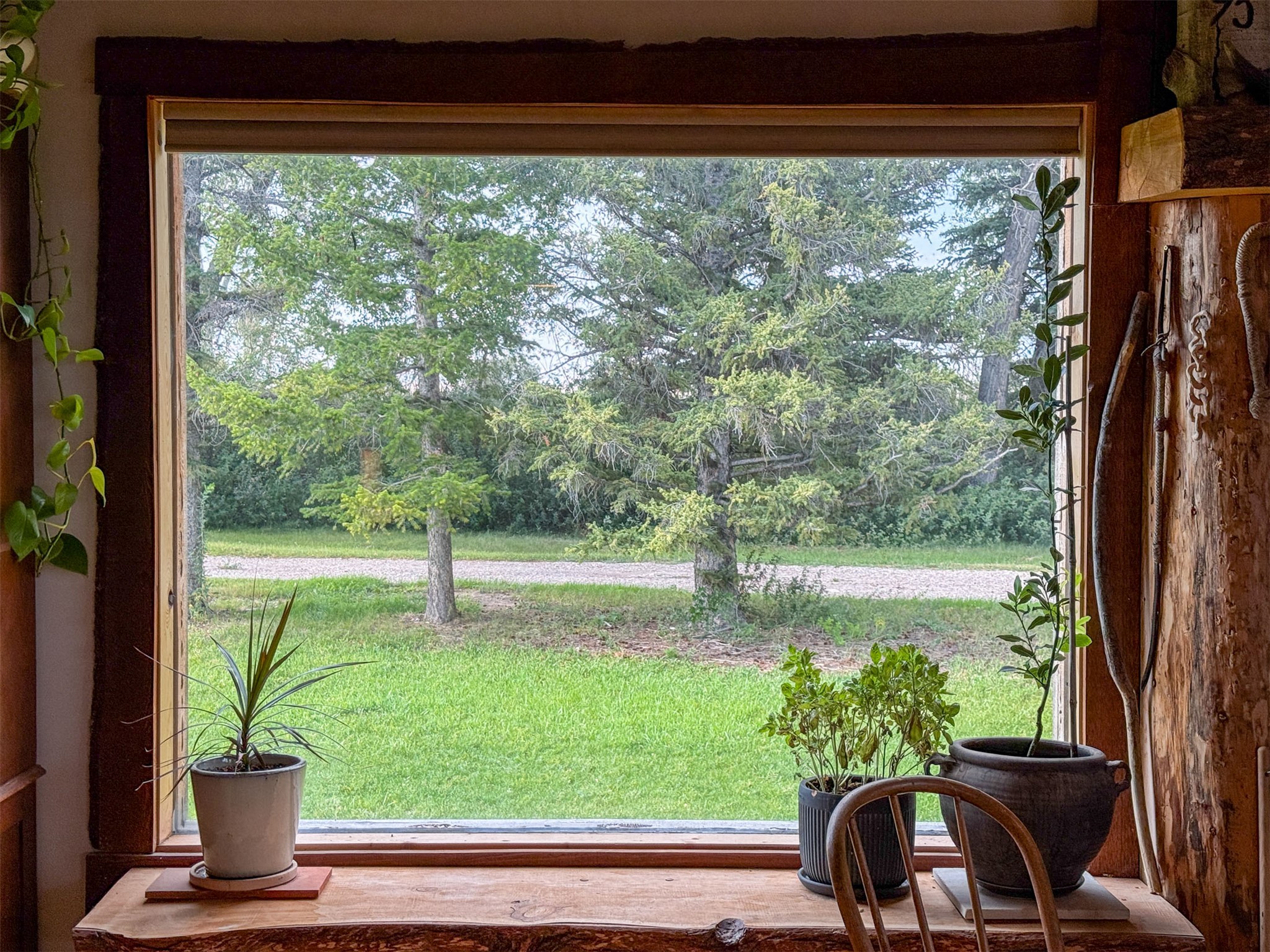 4551 Hwy 287 Property Photo 88