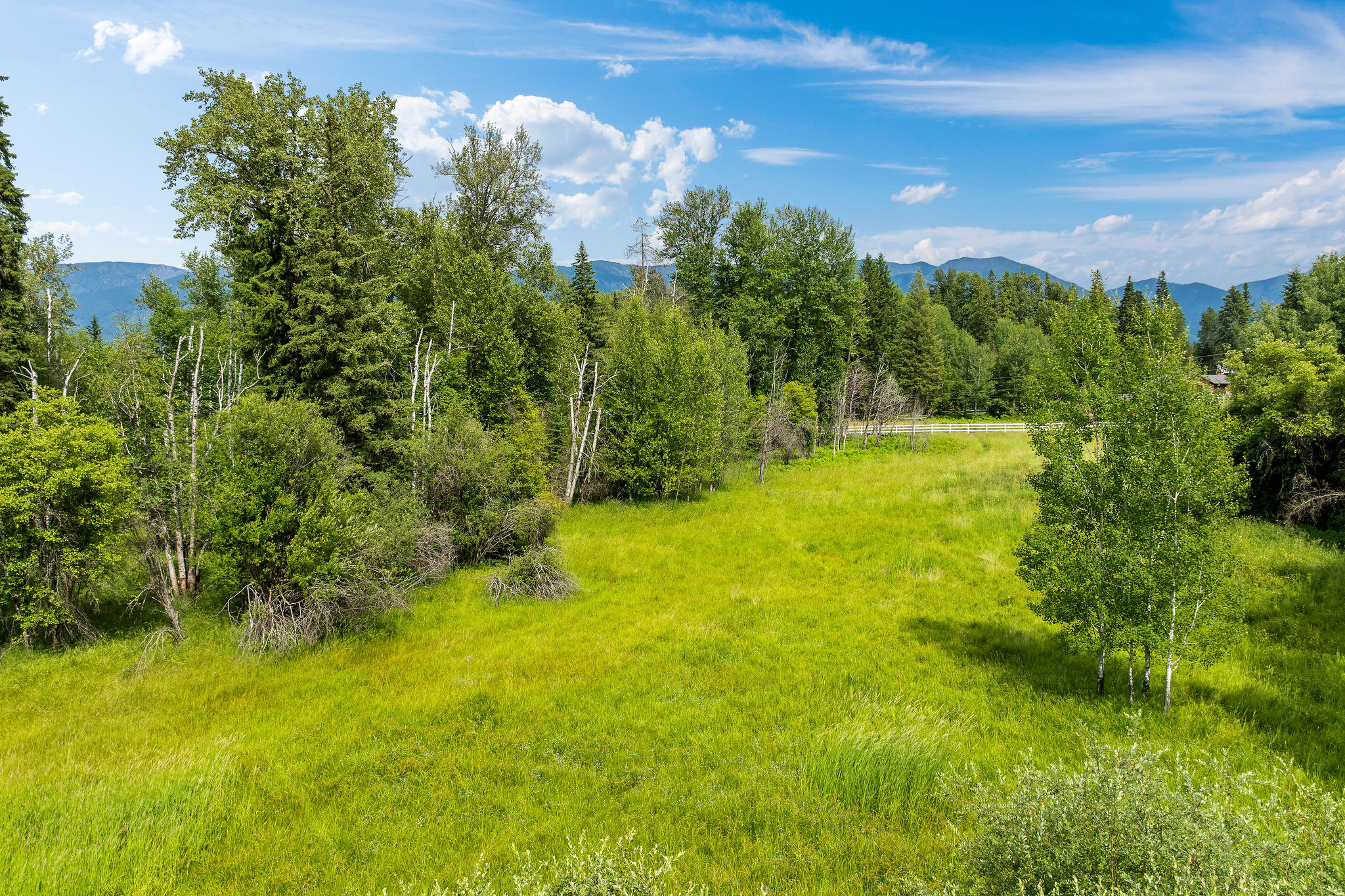 250 Swan Meadow Drive Property Photo 19