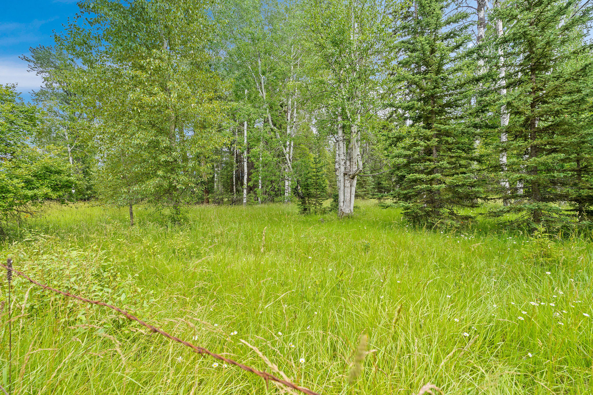 250 Swan Meadow Drive Property Photo 27