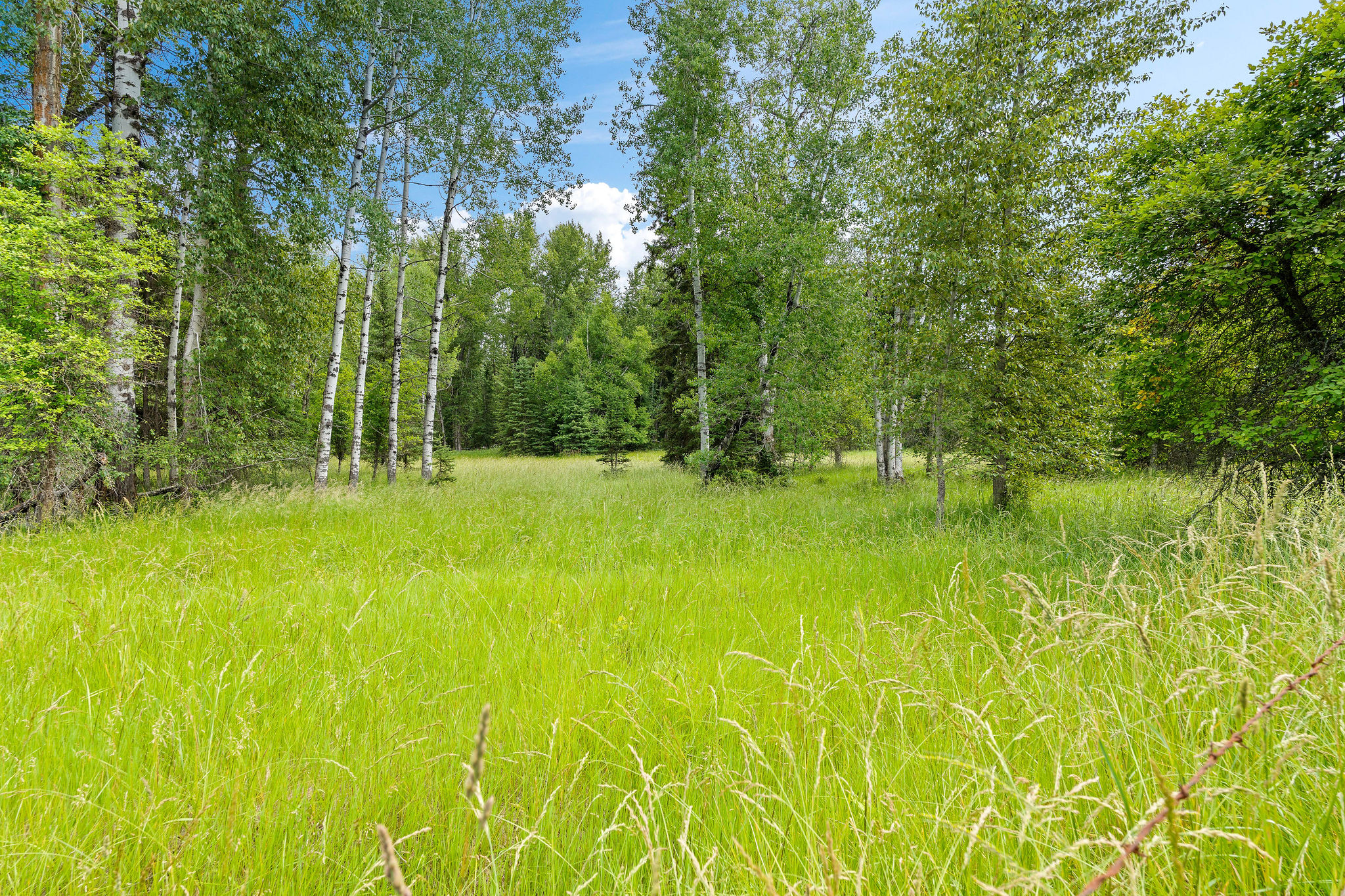 250 Swan Meadow Drive Property Photo 29