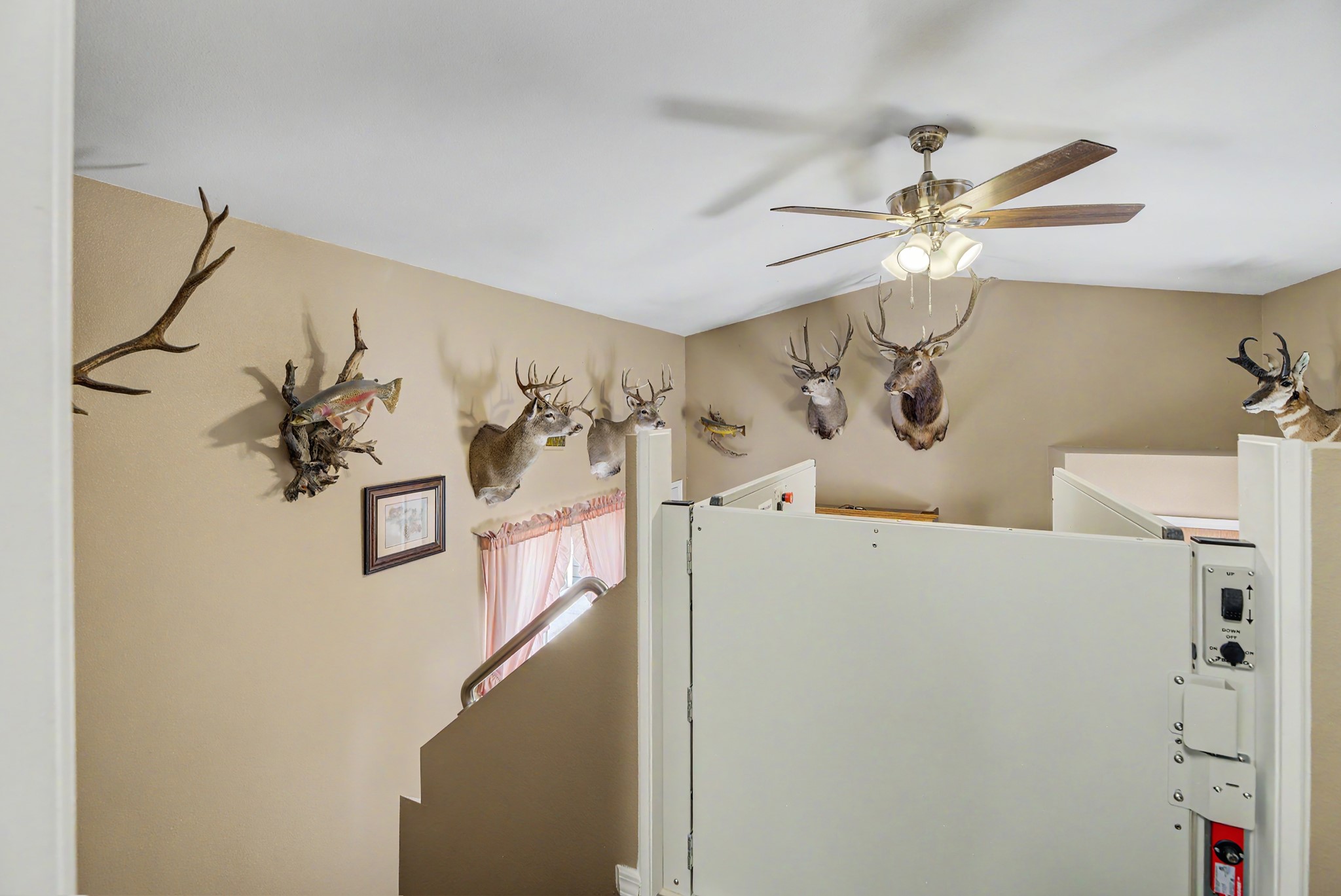 7 Strawberry Drive Property Photo 27