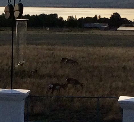 7 Strawberry Drive Property Photo 77