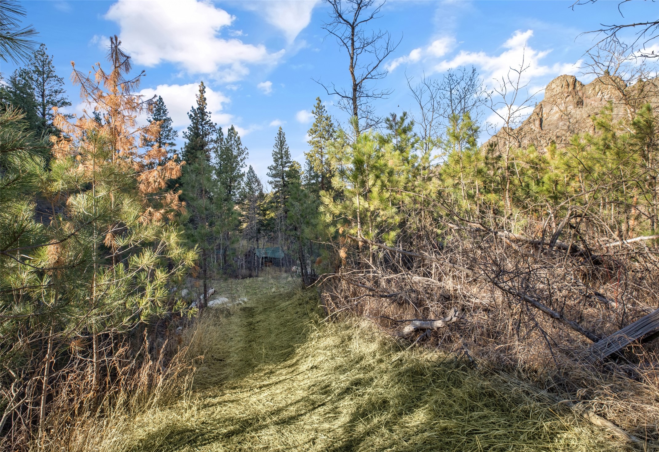 34 Cox Creek Lane Property Photo 63