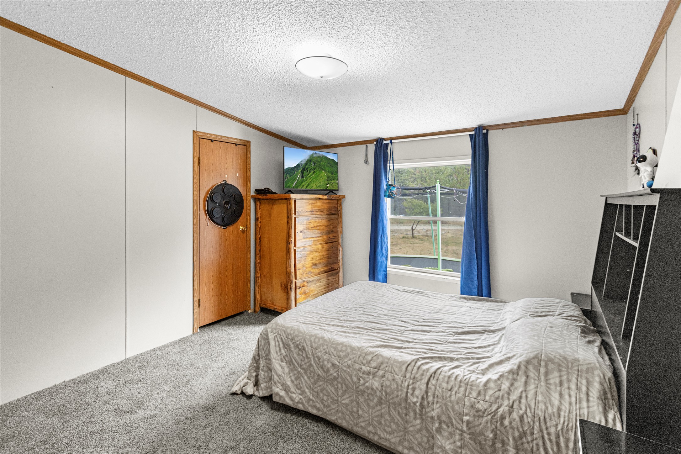 248 Bamford Way Property Photo 23