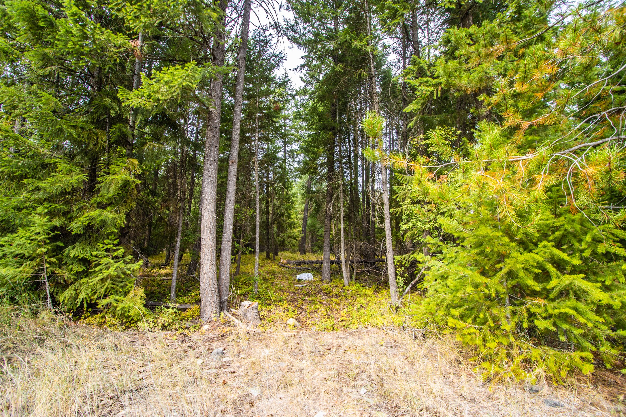 248 Bamford Way Property Photo 47