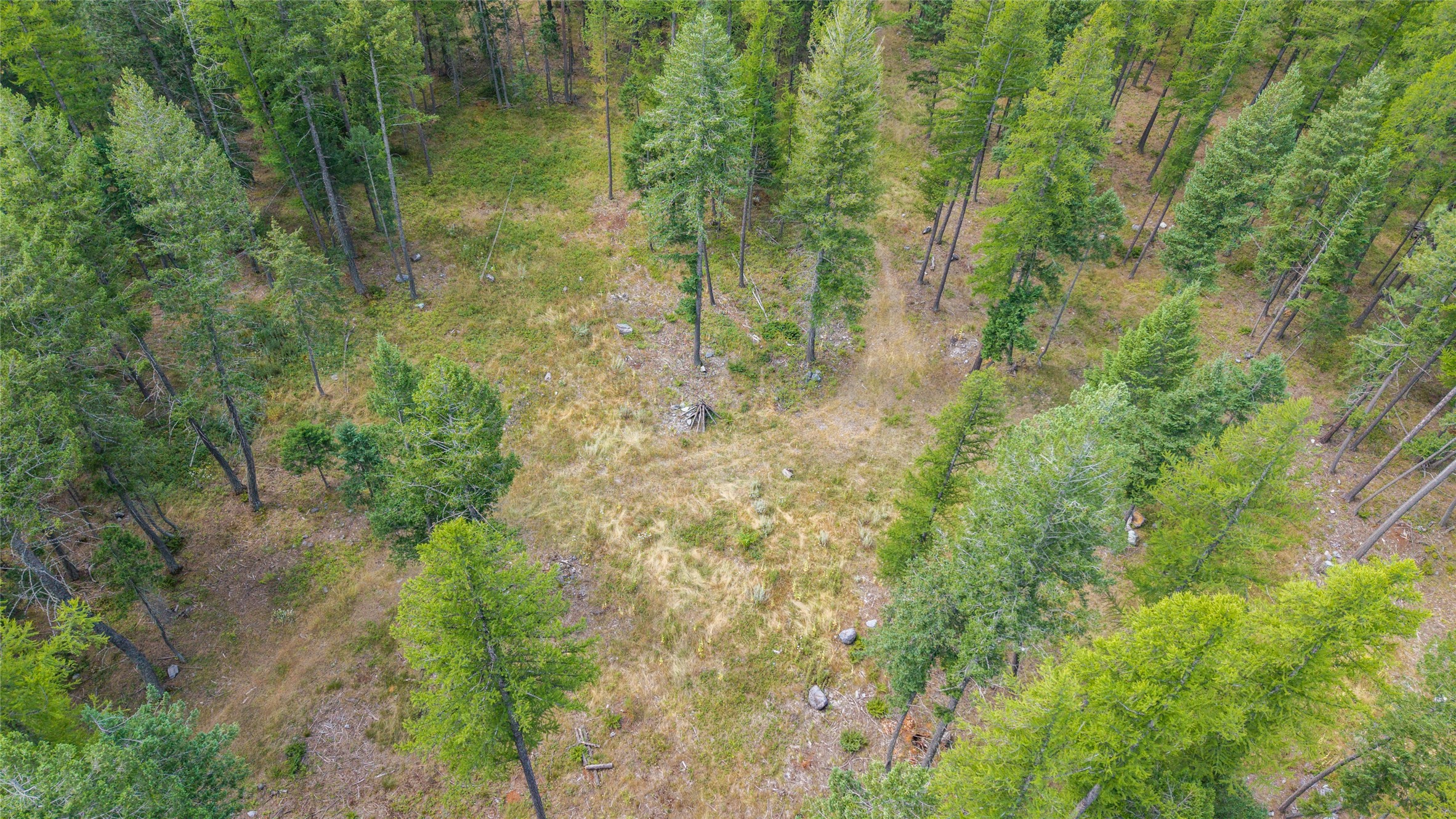 650 Boulder Ridge Trail Property Photo 8