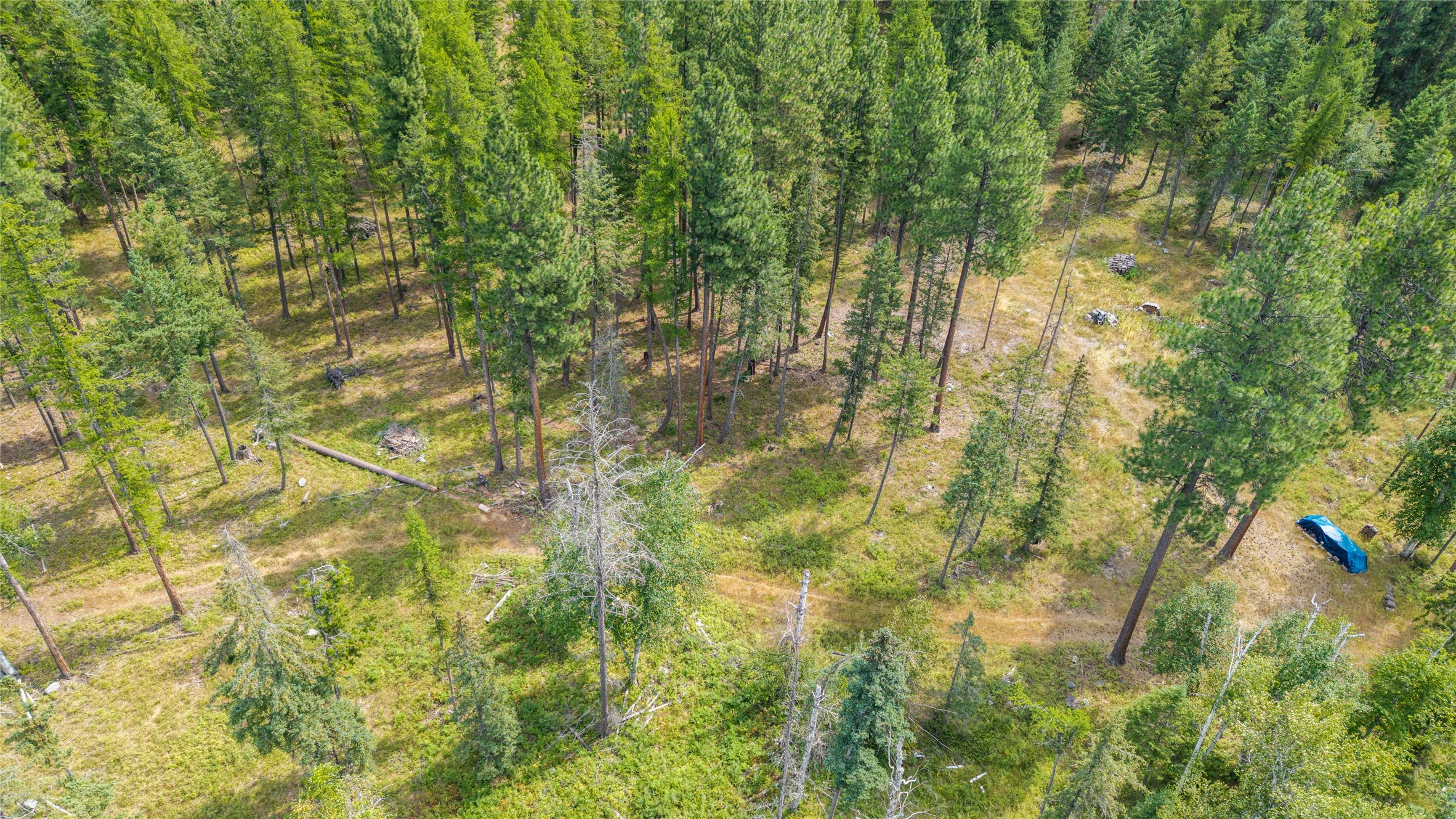650 Boulder Ridge Trail Property Photo 9