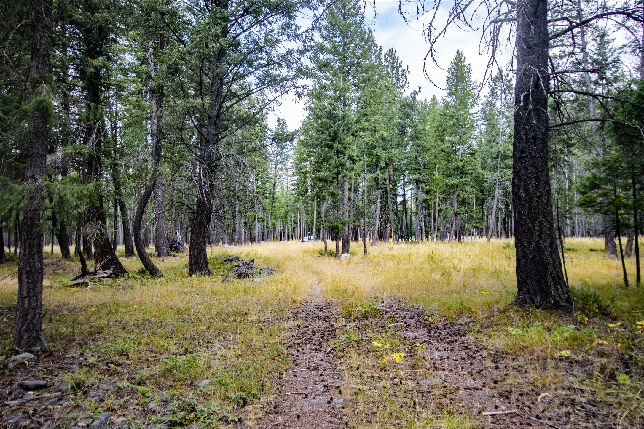650 Boulder Ridge Trail Property Photo 10