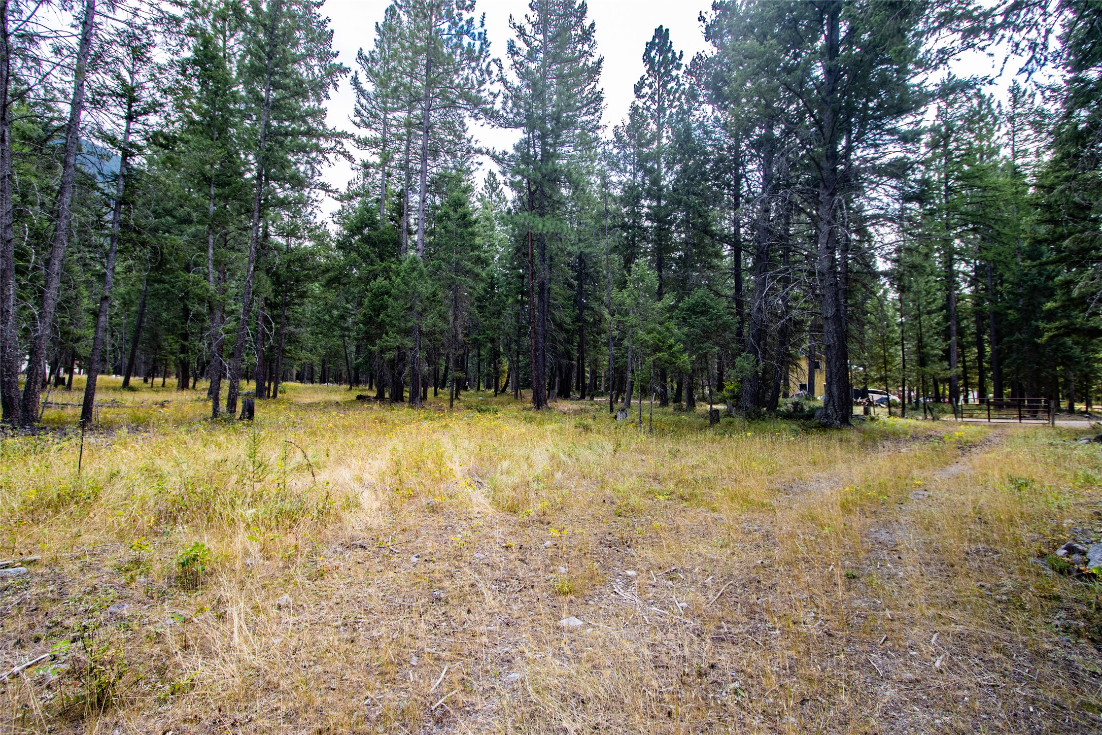 650 Boulder Ridge Trail Property Photo 11