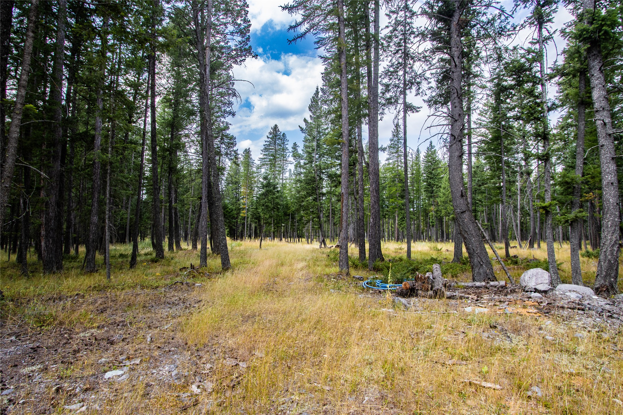 650 Boulder Ridge Trail Property Photo 12