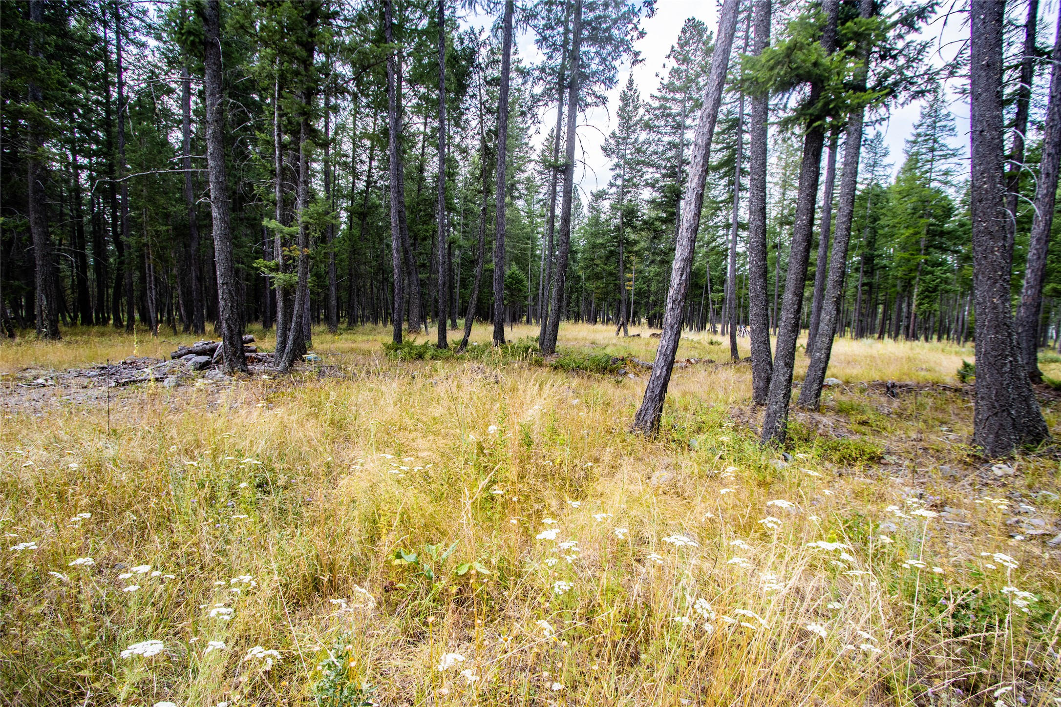 650 Boulder Ridge Trail Property Photo 13