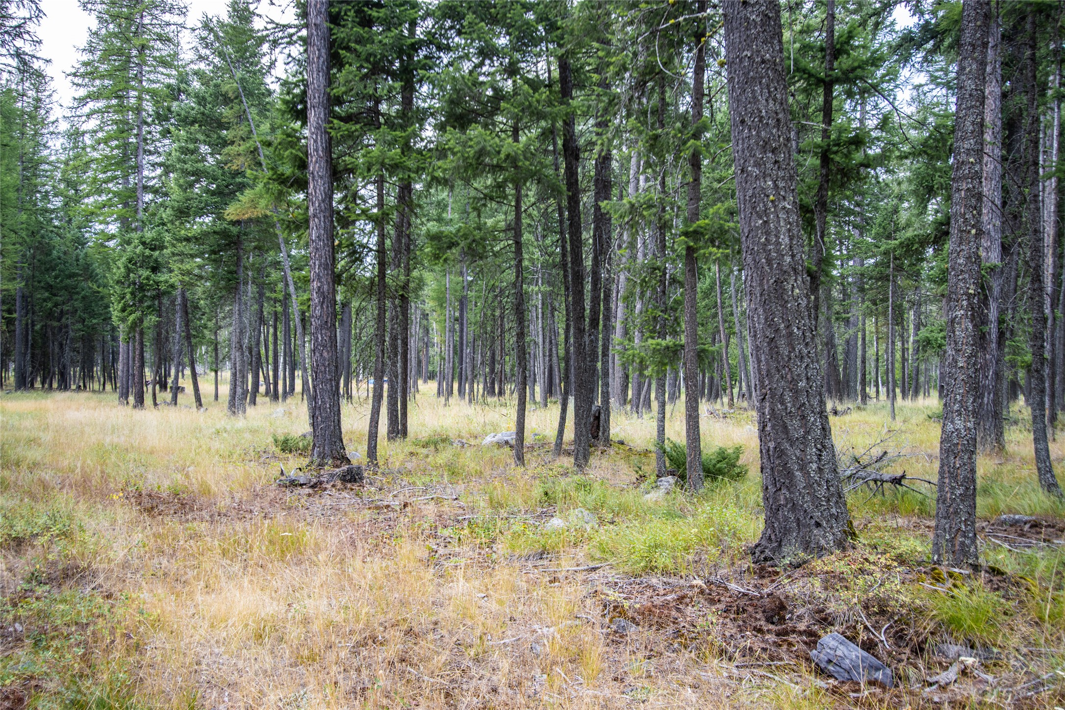 650 Boulder Ridge Trail Property Photo 14