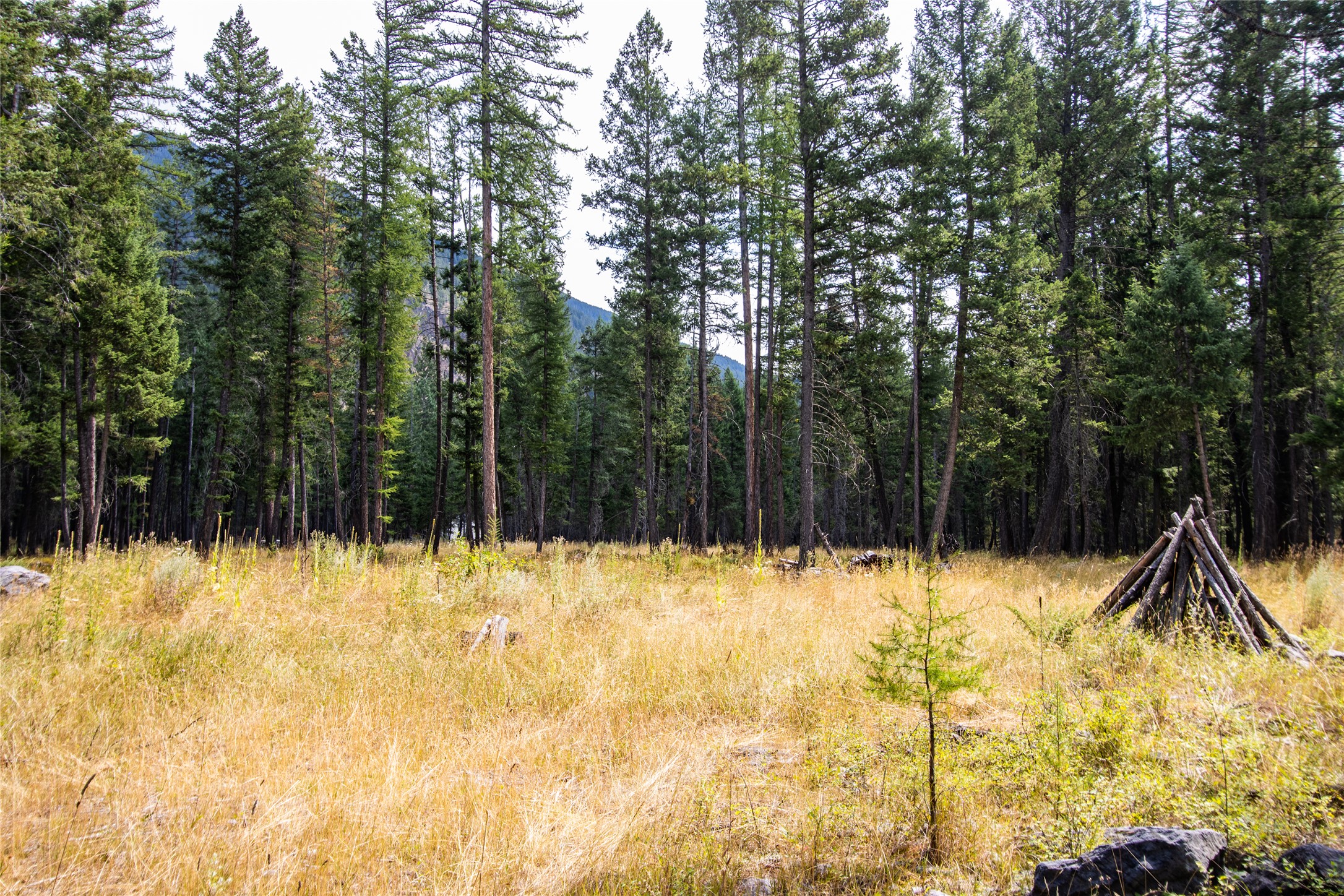 650 Boulder Ridge Trail Property Photo 15