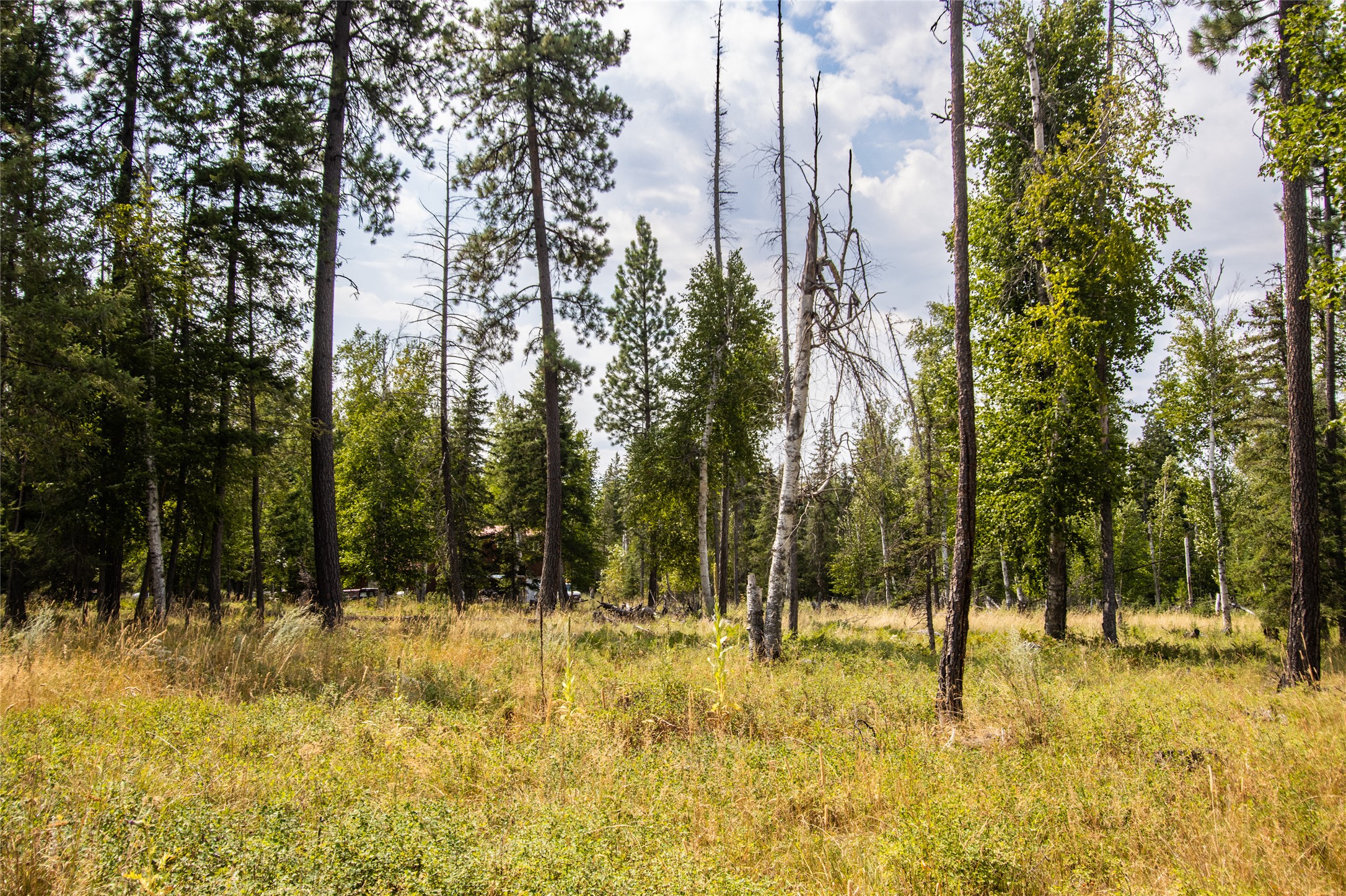 650 Boulder Ridge Trail Property Photo 17